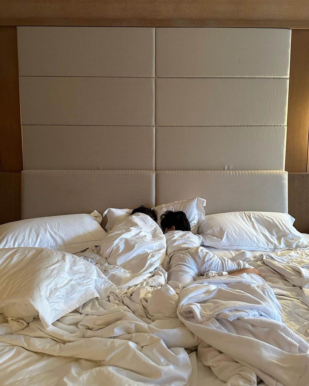 のインスタグラム：「なんで朝になると、いつもくっついてんのかな。 どっちがどのタイミングで寄っていってるんだろう。  寝てる時だけ仲良いな。  #兄弟」