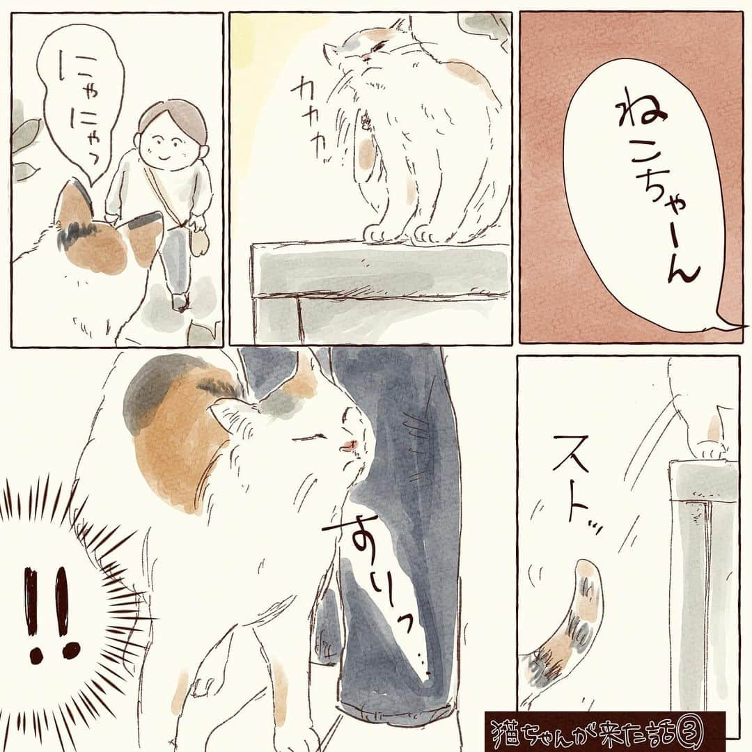 山森めぐみのインスタグラム