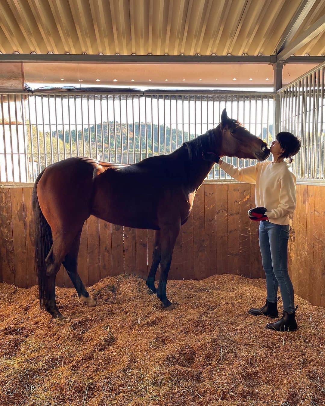 のインスタグラム：「👖🐎🥕  @uniqlo_jp のcmに出演しております。」