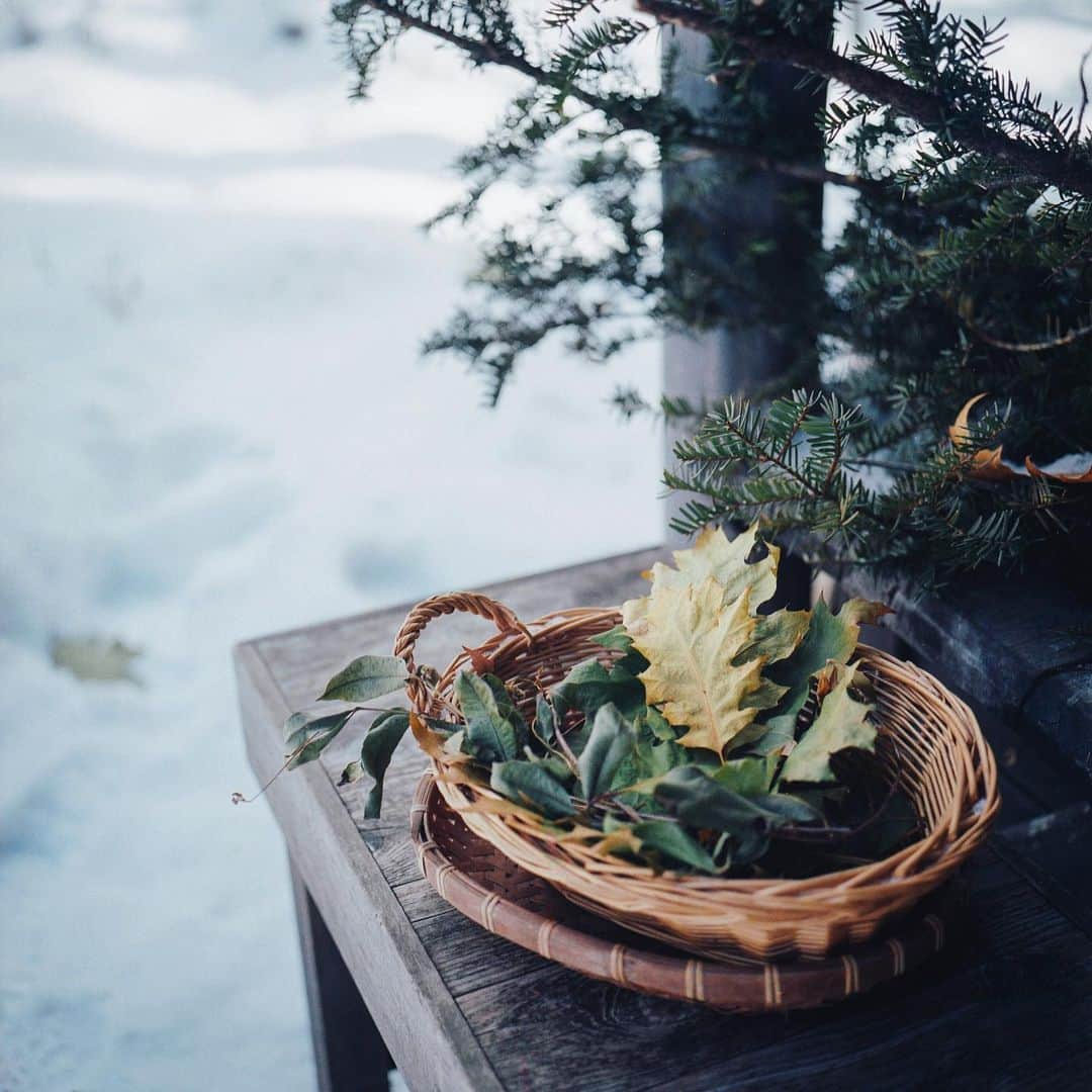 美紀さんのインスタグラム写真 - (美紀Instagram)「winter gift 八ヶ岳の麓 一面の雪景色に ひとり子供みたいにはしゃいだ  老眼でピント合わせに 時間がかかっても Tさんはいつも静かに 見守ってくれてる、寒いのにね（笑）  小さなバスケットに 寄り添い 重なりあうリーフ  冬のおくりもの  at @herbalnote_simples   #miki_travel_shinshu #miki_travel_life #rolleilife #miki_rollei_shot」1月6日 20時29分 - miki_rolleilife