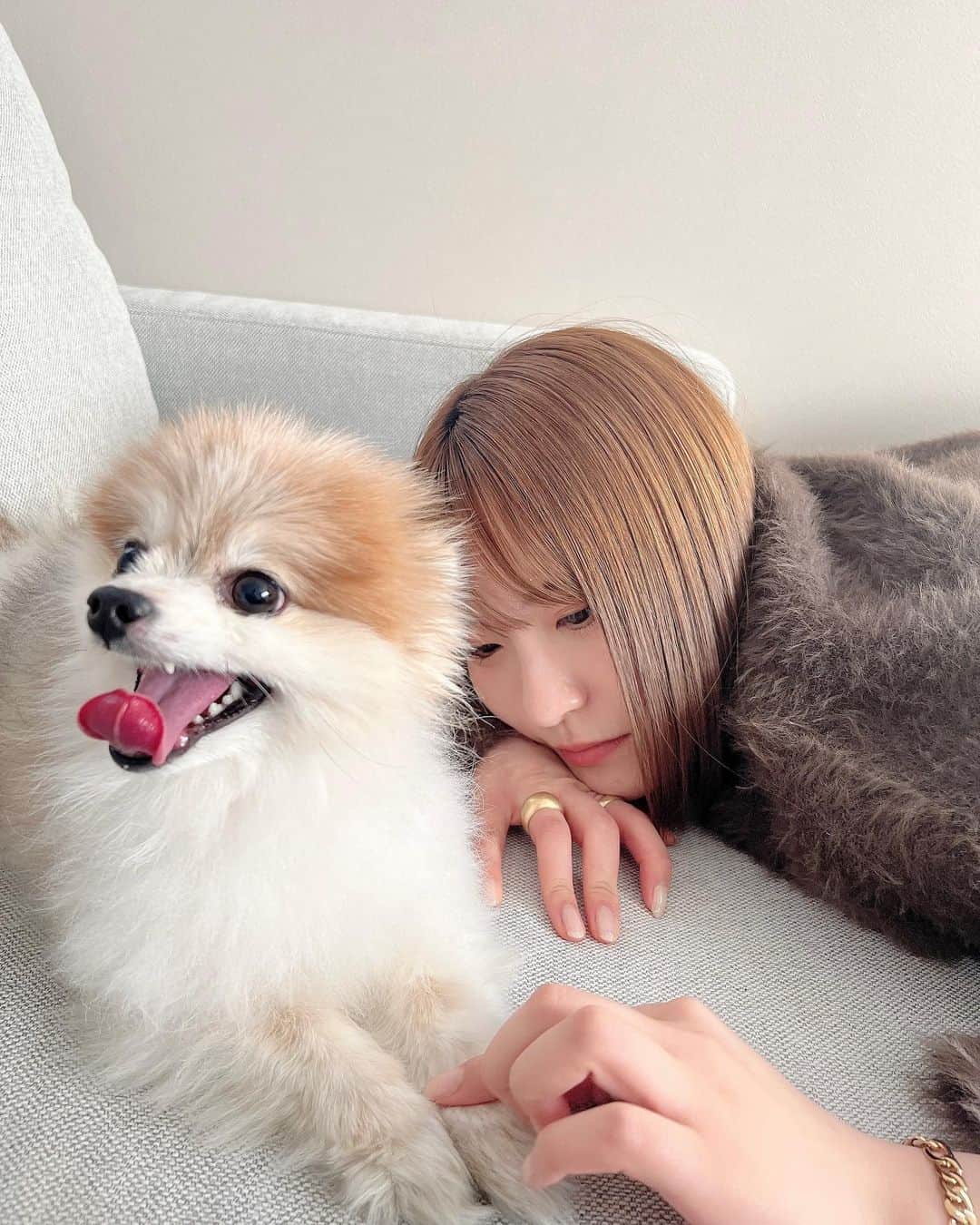 のインスタグラム：「全然こっちを見てくれない実家のわんこ🐶 ⁡ ⁡ 結局見てくれなかったので最終日に無理やり目を合わせにいきました😂 ⁡」