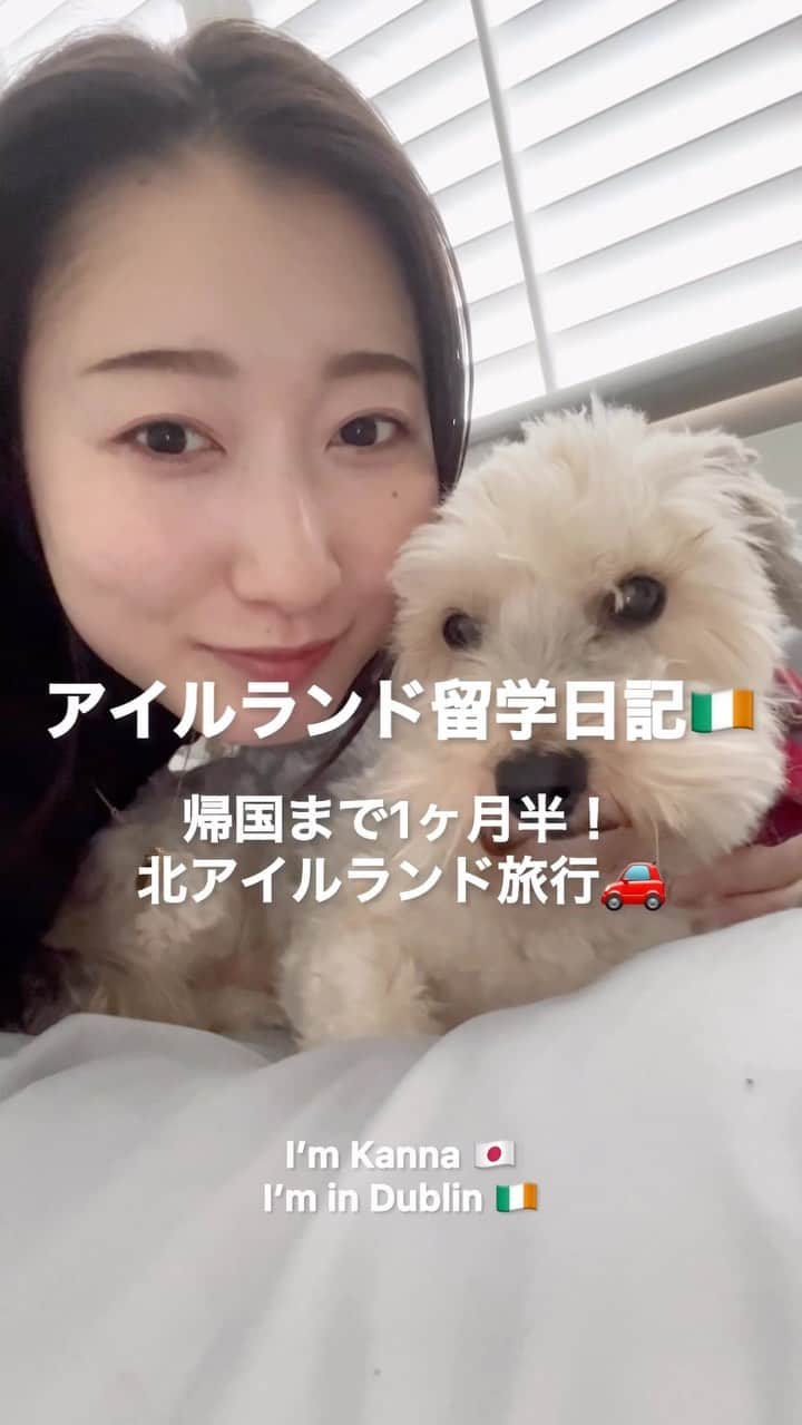 渋谷栞南のインスタグラム：「アイルランド留学日記🇮🇪音出してね🔇  Please let me know if my English expressions are mistaken😸  #アイルランド#アイルランド留学#アイルランド生活#ダブリン#ダブリン留学#ダブリン生活#ヨーロッパ留学#語学留学#留学したい#留学したい人と繋がりたい#留学生活#留学#交換留学#中期留学#協定留学#大学生#女子大学生#ヨーロッパ旅行#ヨーロッパ#ダブリンシティ大学#dcu#留学日記#ヨーロッパ生活#dublin#ireland#dcu#studyabroad#dublincityuniversity#dublinireland」