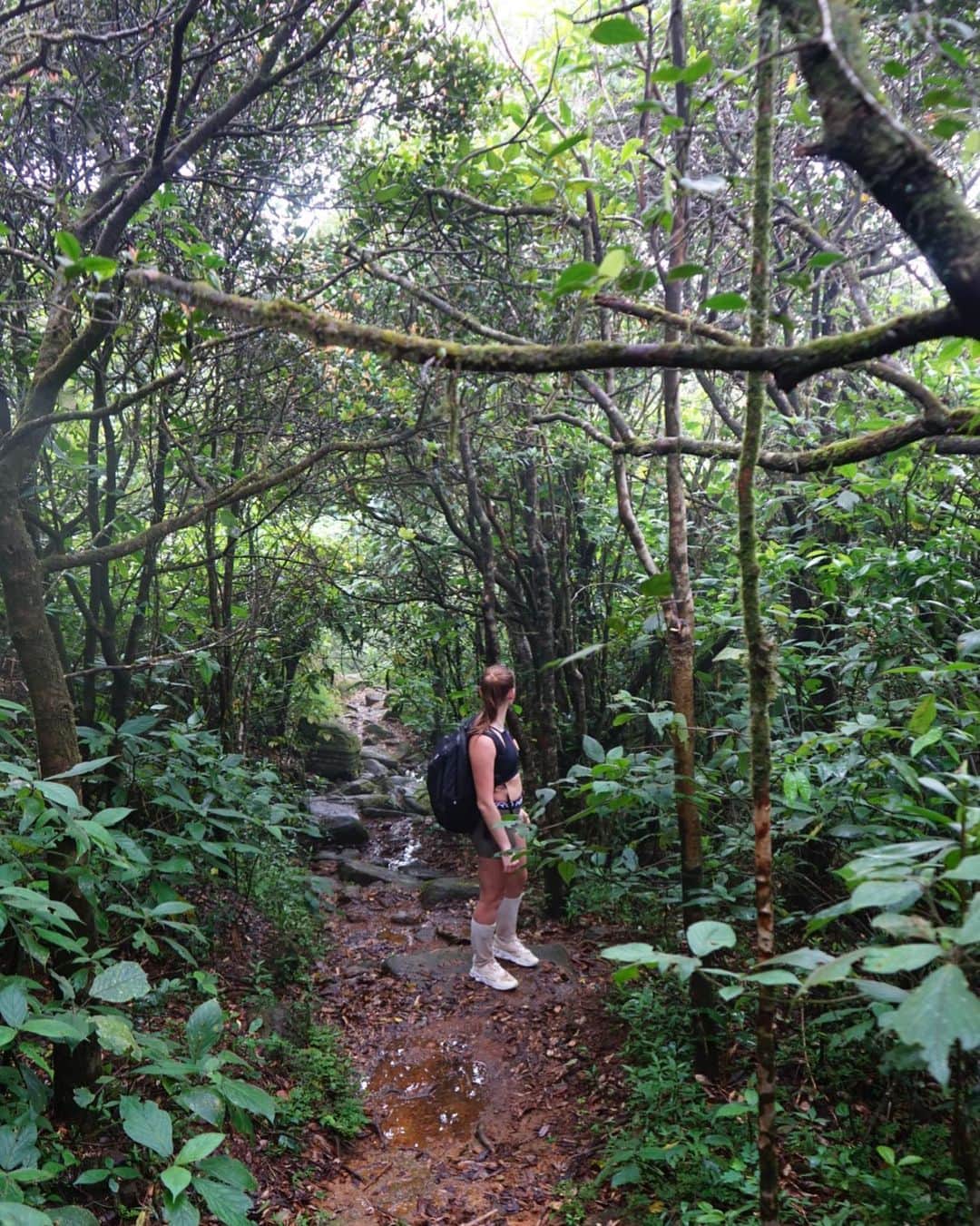 Justyna SAGANIAKのインスタグラム：「Jungle 🐉」