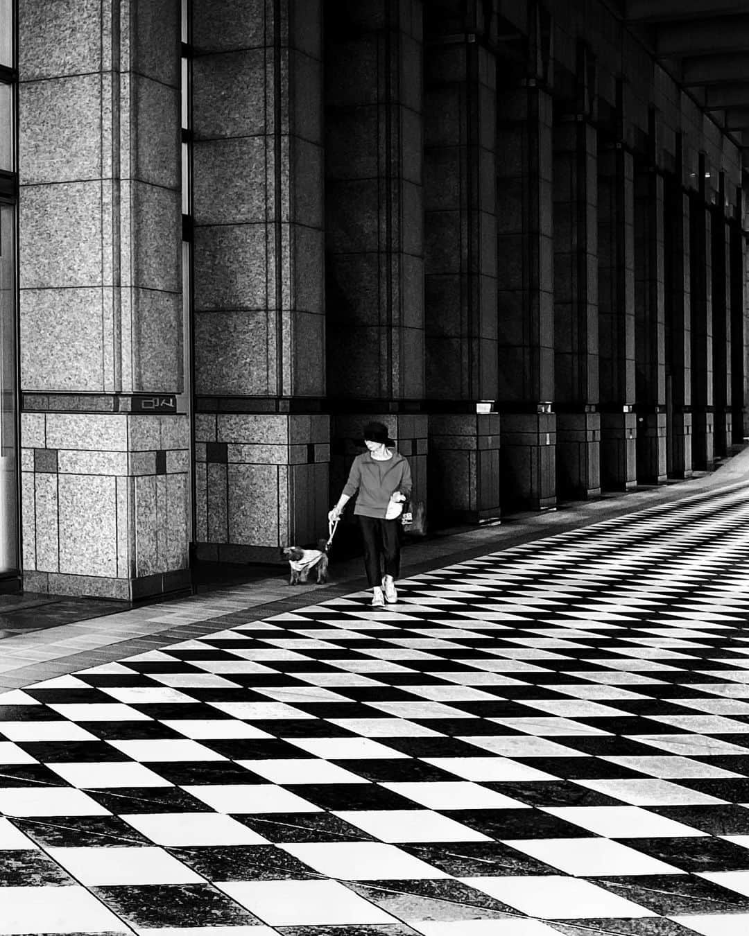Yasuhito Shigakiのインスタグラム：「. . Walking with Dog . . . . Tokyo, Japan.」