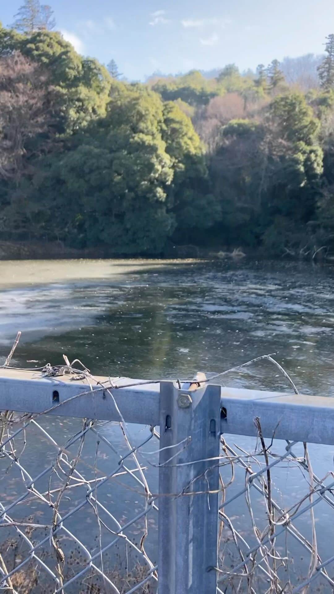 鵜飼孝治のインスタグラム：「変な音ー。水面凍った池に石投げたら。。」