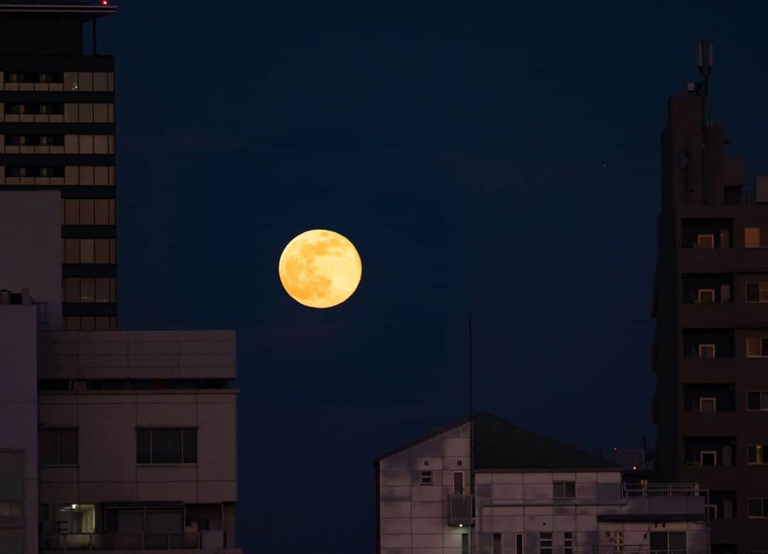 時任三郎のインスタグラム：「今日の #満月 #月の出 #初満月 ＠東京 空気が乾燥してるね 月がクッキリ見える 火の元にはご注意を」