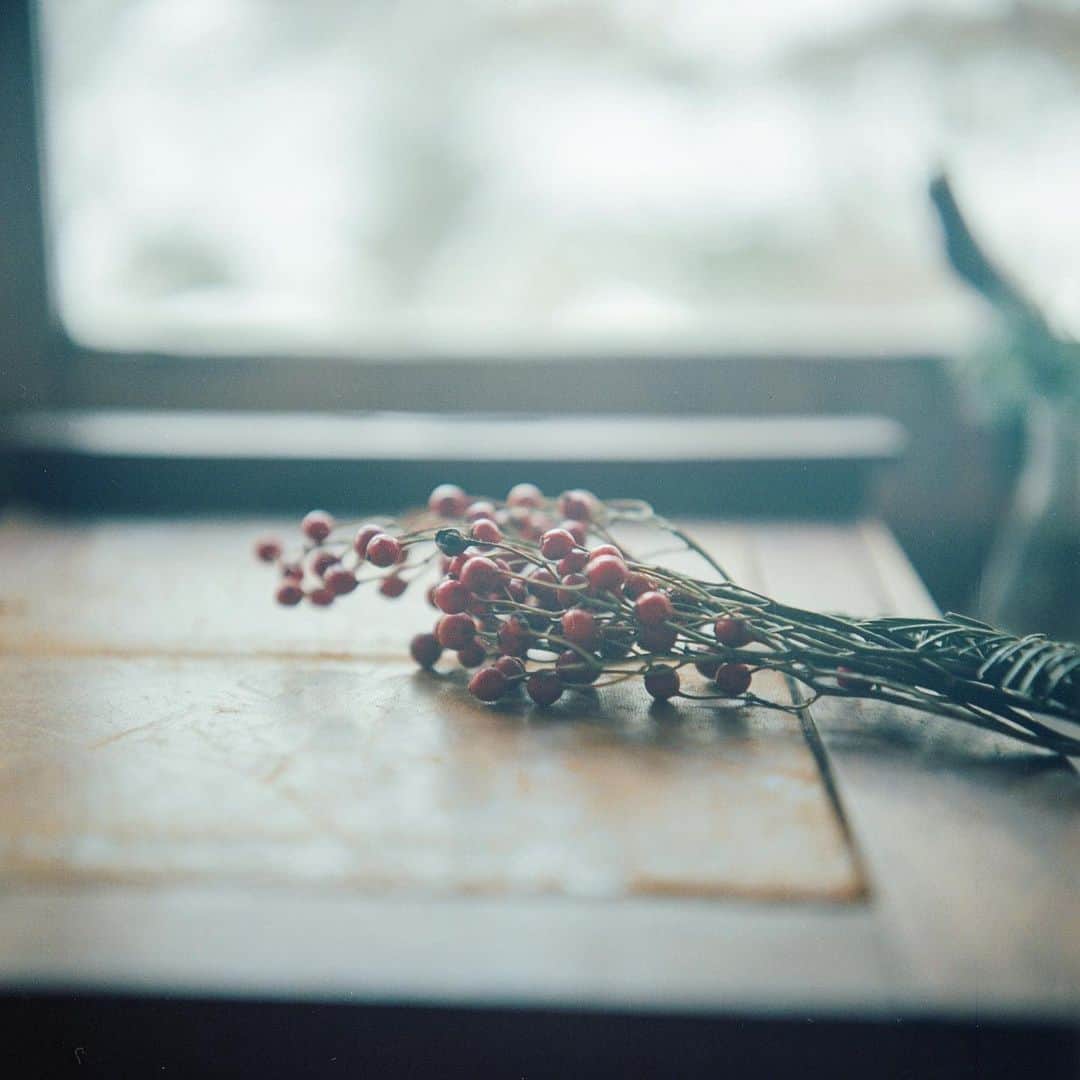 美紀のインスタグラム：「the second winter gift  愛機Rolleiを取り出すと スタッフの方が 素敵なカメラですねと 声をかけてくれた  カメラが繋げてくれるひととき ずっと大事にしたい  ２つ目の冬のおくりもの  at @herbalnote_simples   FIGARO UP↗︎ 雪景色の八ヶ岳の麓で美味しいお散歩。 よかったらぜひ！  #miki_travel_shinshu #miki_travel_life #rolleilife #miki_rollei_shot」
