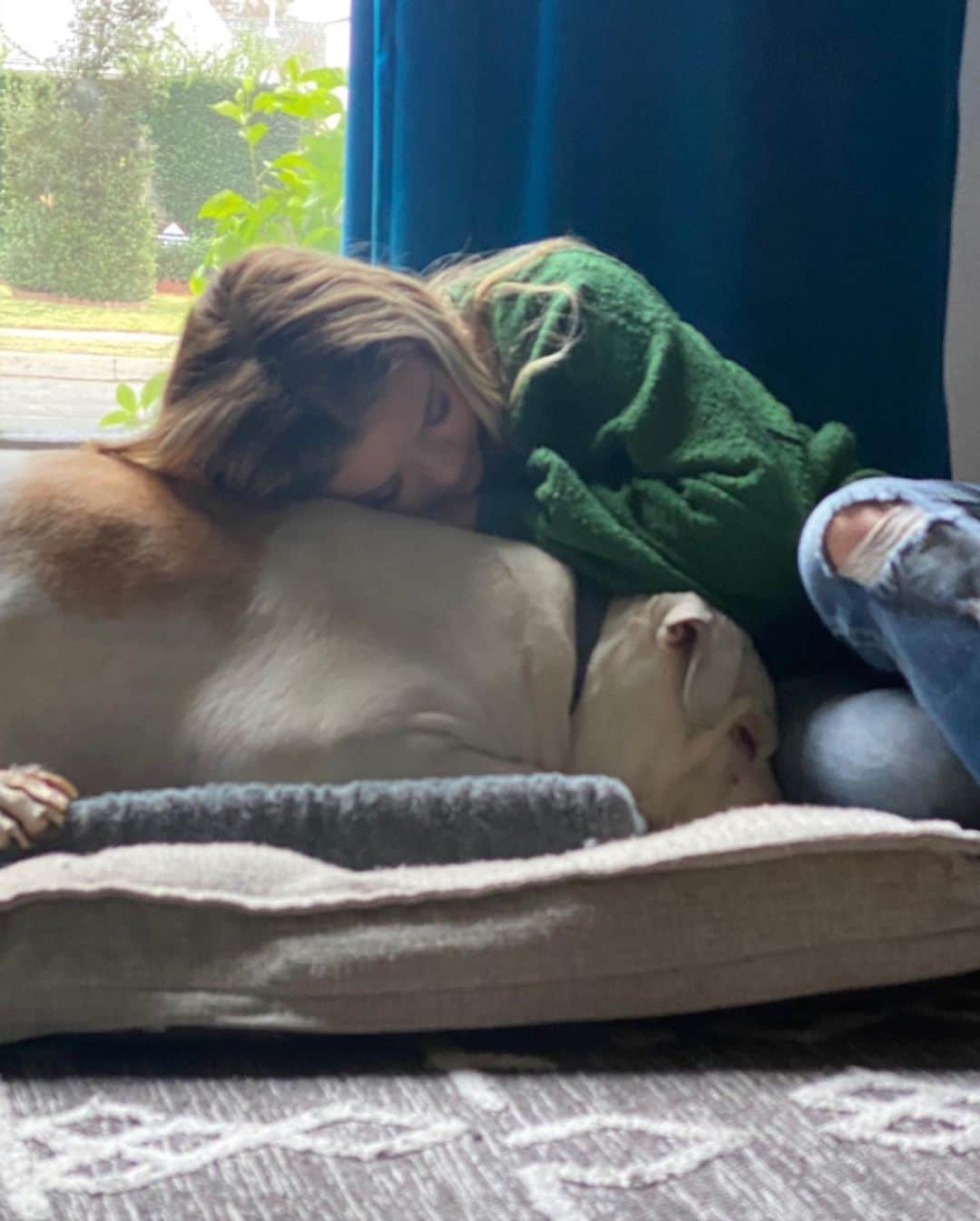 ジェイド・ペティージョンのインスタグラム：「Had to say goodbye to my best friend today. Over a decade of my life spent with you and I’m better for it. You were family. Sending you a can of Alpo for the next life. Chops. My good boy. I’ll love you forever 💔」