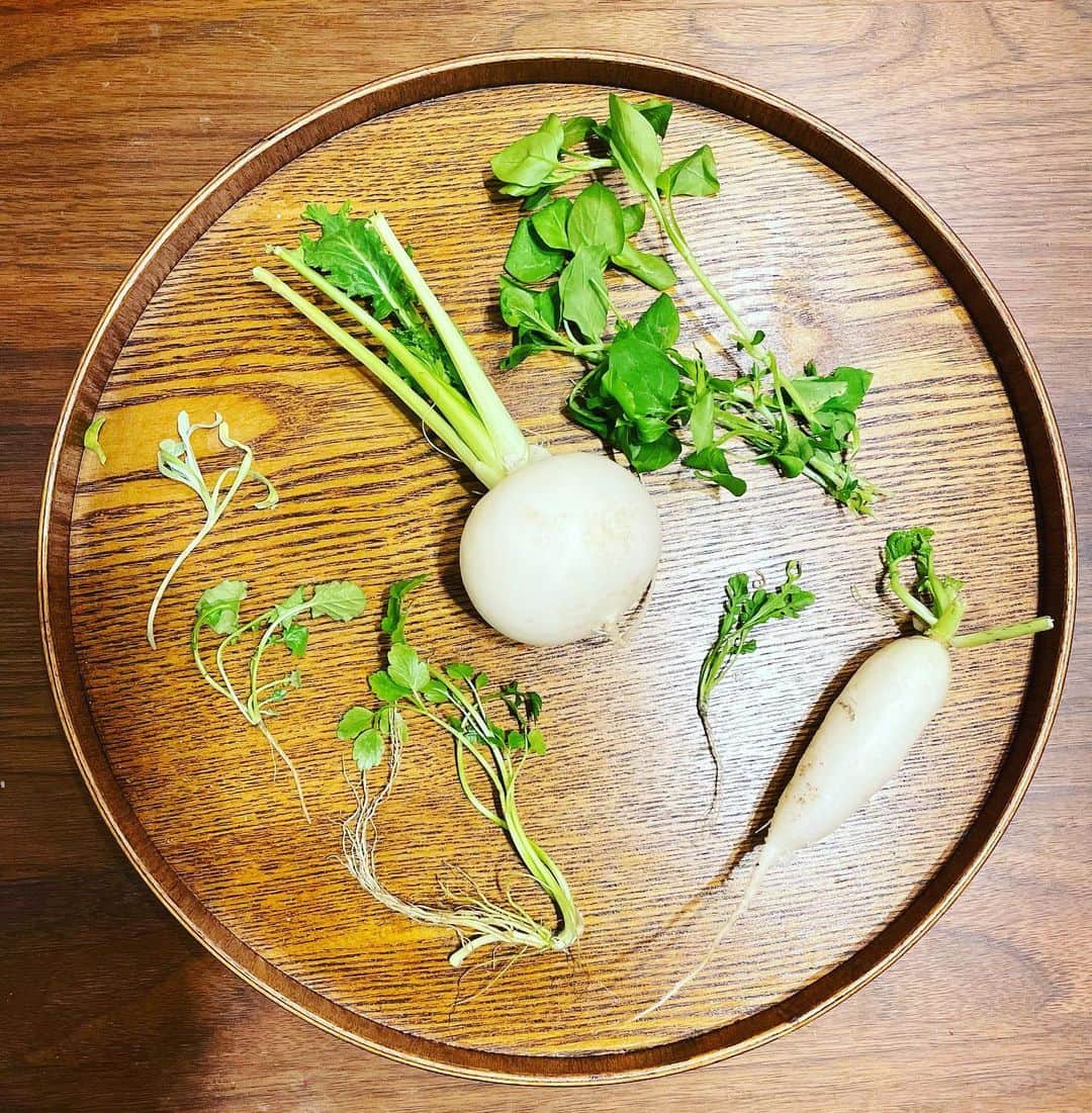 川島カヨのインスタグラム：「七草粥は毎年きっちり食べる派です。 ⁡ 胃を休めてのんびりゆっくり。 今年も中華風に卵焼きつきです。 ⁡ ⁡ #きょうのごはん #適当ごはん #おうちごはん #おうちごはんlover #ゆるめし #japaneasefood #クッキングラム #ひとりごはん #食卓日記 #献立 #家庭料理 #homecook #Homemadefood #日本食 #Japanesefood #ひとり定食 #お盆でごはん  #七草粥 #せり ＃なずな #すずな #すずしろ #ごぎょう #はこべら #ほとけのざ #sidedish #お節 ⁡ ⁡ ⁡」