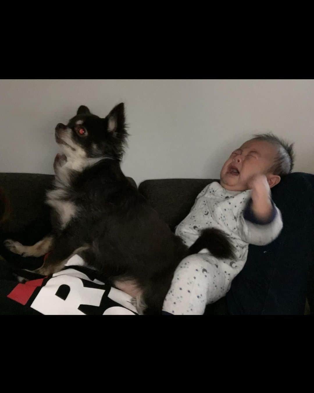 REIちぇるのインスタグラム：「育児も手伝ってくれた、ちょこたくん。  ありがとうね」