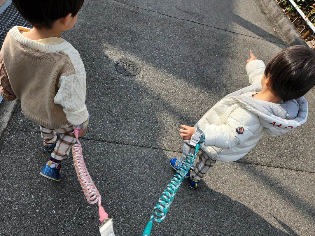 妃咲せあらさんのインスタグラム写真 - (妃咲せあらInstagram)「子供用ハーネスの話✨  ワンオペ双子とお姉ちゃん少しでも色々連れ出してあげたくて、お菓子も自分で選ばせてあげたくて連れ出すのですがレジでのお会計時に店内を走り回る双子、 手を繋いでも振り払う、人にぶつかりそうになる、抱っこしてもエビ反りで暴れるわ、、、で一時使わなかったハーネスを使用しだしました💦 正直、人の目が凄く気になりますが子供の命を守る為、ワンオペでも色々経験させてあげたい❗ もう少しハーネスが認知されれば良いのになぁ、と思った一日でした、、、😌 #双子育児 #双子と姉 #子供用ハーネス #ワンオペ」1月7日 19時32分 - h_seara88