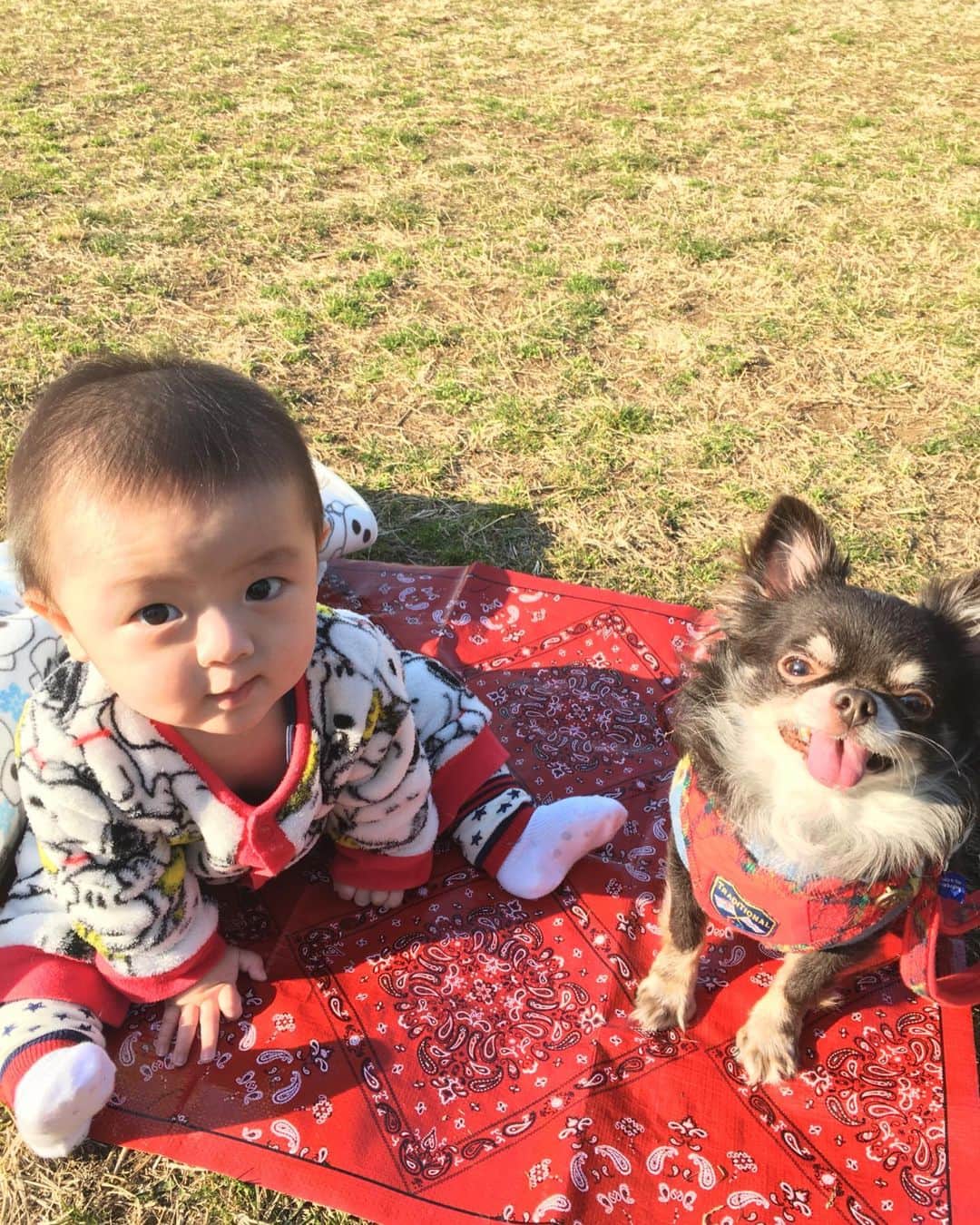 REIちぇるのインスタグラム：「イクメンちょこた  天国ではたくさん日向ぼっこできますように」