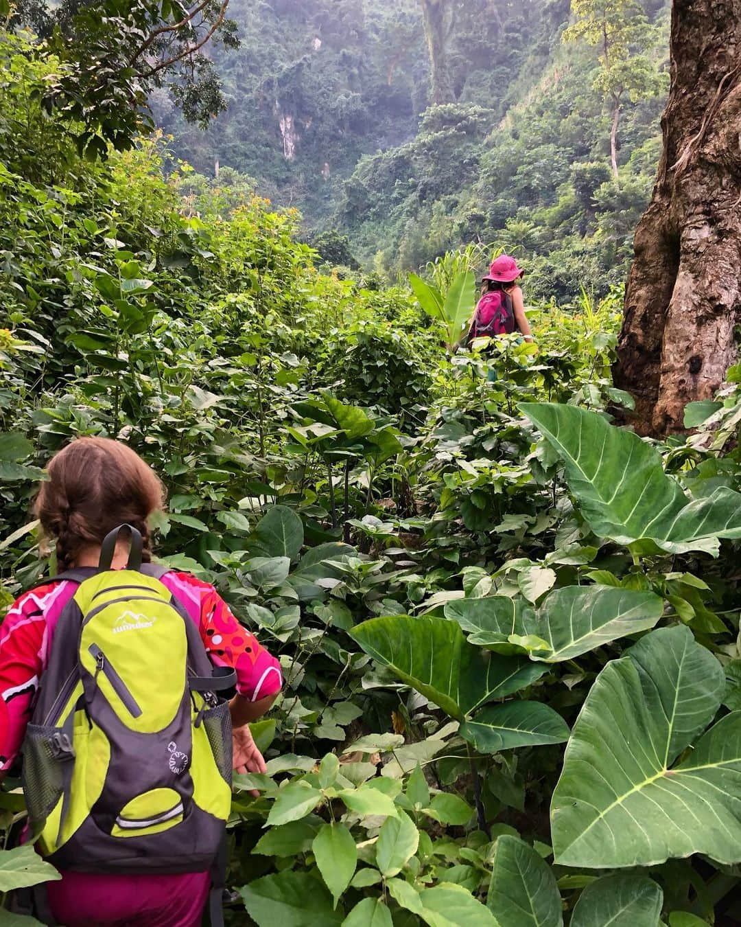 Laura Martyさんのインスタグラム写真 - (Laura MartyInstagram)「Morning adventure with my little explorers!!   (And their parents, don’t worry 😉)」1月7日 19時55分 - laura_how_you_get_up_there