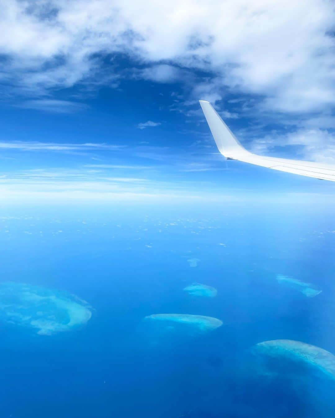 大本里佳のインスタグラム：「I visited to my favorite city, Cairns!! Thank you for supporting and cheering me as a swimmer @cairnsjp.   現役時代、スポンサーしていただいたケアンズ観光局にご挨拶を含めて。 何度も合宿でお世話になり、渡航できるようになったら真っ先に行きたい！と思っていたので休暇中に行けてとても嬉しかったです✨🇦🇺 2018年以降、大会でベストが出る時は、いつもケアンズ合宿の後でした🥹✨  📸地元の方と一緒に泳いだよ✌🏻  #cairns #australia #travel #swimming #swimmer #cafe #LukureCaff #cathedralfigtree #rustysmarket #ケアンズ #オーストラリア #海外旅行」