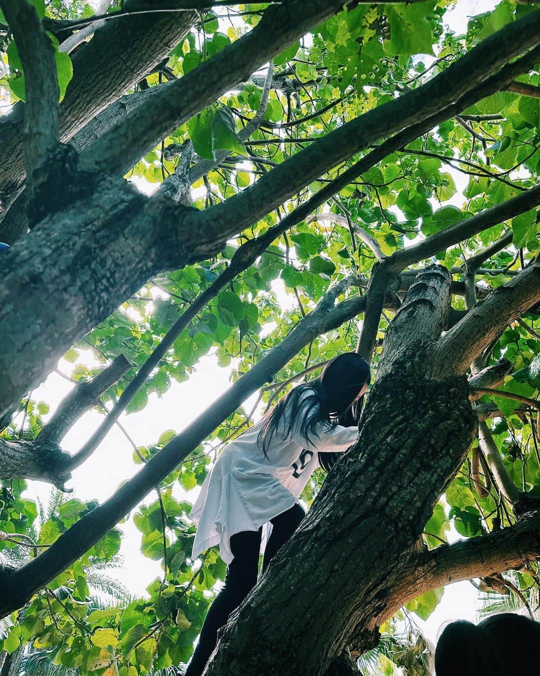 ベビちぃ。さんのインスタグラム写真 - (ベビちぃ。Instagram)「沖縄に行ってきました🌺🌈 ママといっしょに、初めてパラセーリングをしたよ🪂すっごく高くてドキドキしたけど、またやりたいな！ 海とプールにたくさん行けて、沖縄そばも大好きになった💖 なによりあたたかくて最高💕沖縄に住みたいな🌴」1月7日 22時02分 - babychi_official