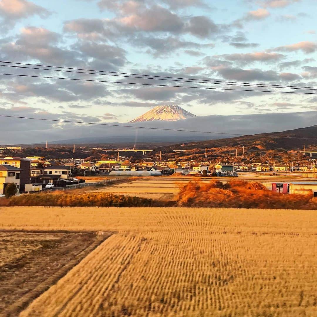 園崎未恵さんのインスタグラム写真 - (園崎未恵Instagram)「東海道新幹線から富士を臨む。 稲田の輝きが眩しいです。 #富士山」1月8日 1時53分 - miemiemie0207