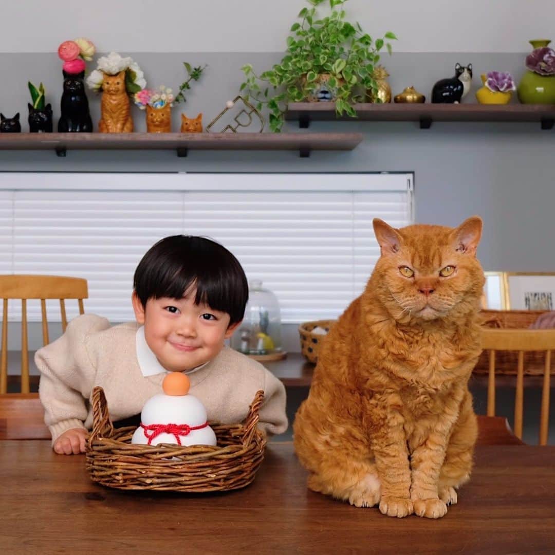 ギネス & ピムスのインスタグラム