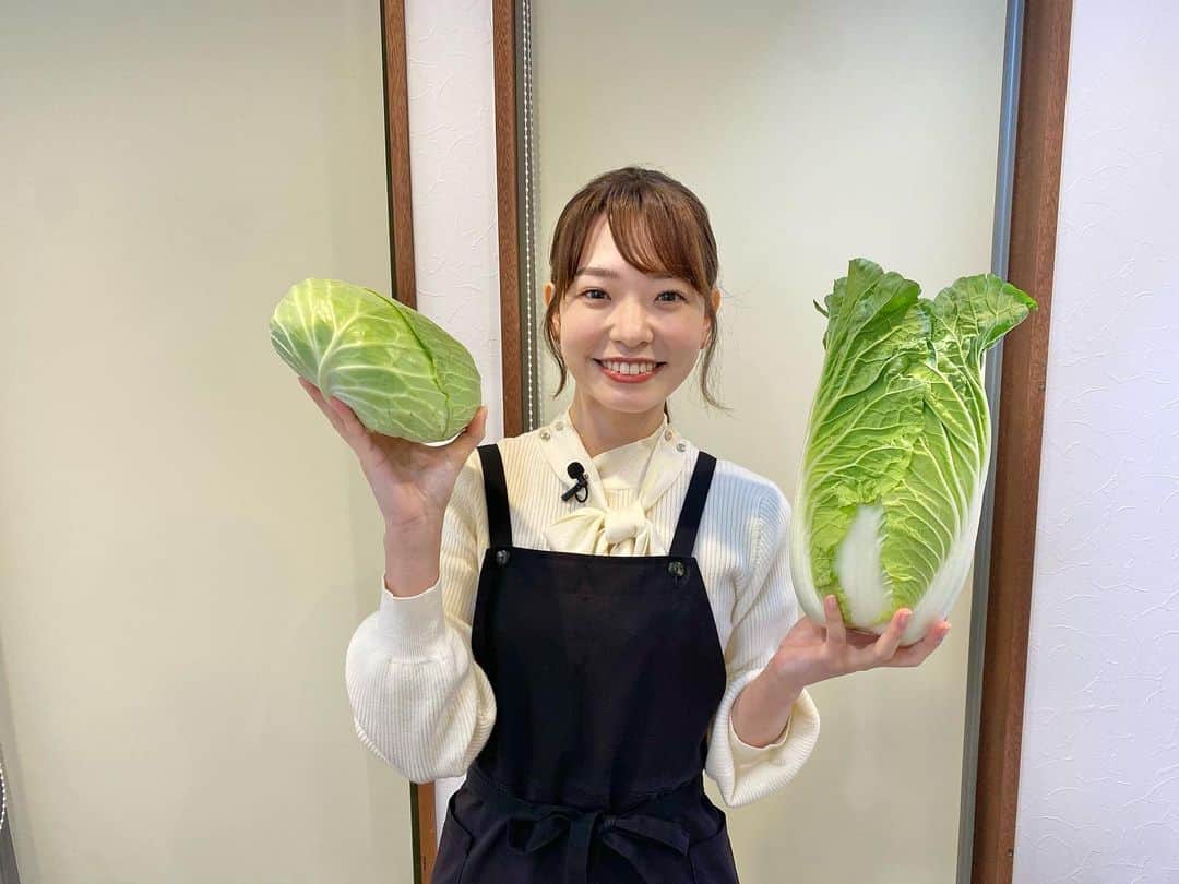濱村春香のインスタグラム：「. 明日ZIP!特集担当です🎤 ⁡ 今回の特集は白菜とキャベツを徹底比較！ ⁡ 超簡単！白菜が1か月ももつ保存方法とは？ 白菜とキャベツ、合わせて作るとより美味しくなる料理とは？ どちらも美味しくお得にいただくテクニックを調査します！ ⁡ ⏰あさ7時10分ごろ ぜひご覧ください👀 ⁡ #ZIP #ZIP特集 #ZIP!🎀」