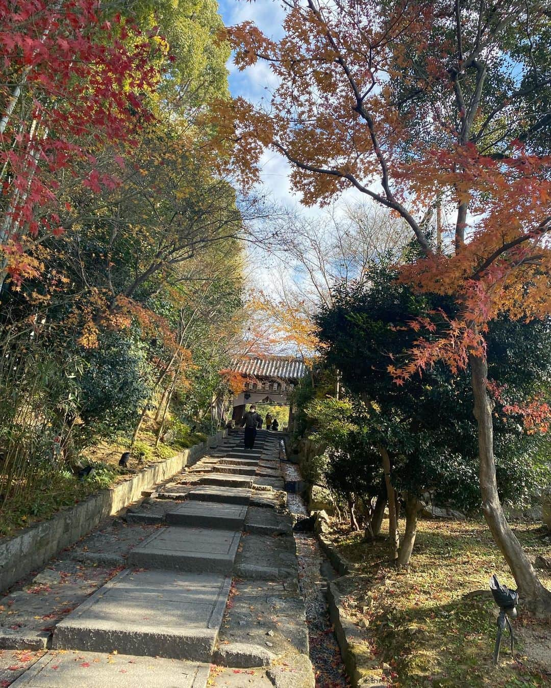 繁田梨世のインスタグラム：「2023年も宜しくお願いいたします🐰  .  . . 高台寺に行ってきました。 京都出身ですが、高台寺は初めてでした。見惚れてしまうほど凄く綺麗でした🥺  . . おみくじは、、、 吉！！今年は良いことある気がする😏 . . #2023年#卯年#初詣#京都#高台寺#初めて#綺麗#美術品#おみくじ#良い気がする#ゆるく生きる#着物#繁田利用#今年もよろしくお願いします#旅行いっぱい行く」