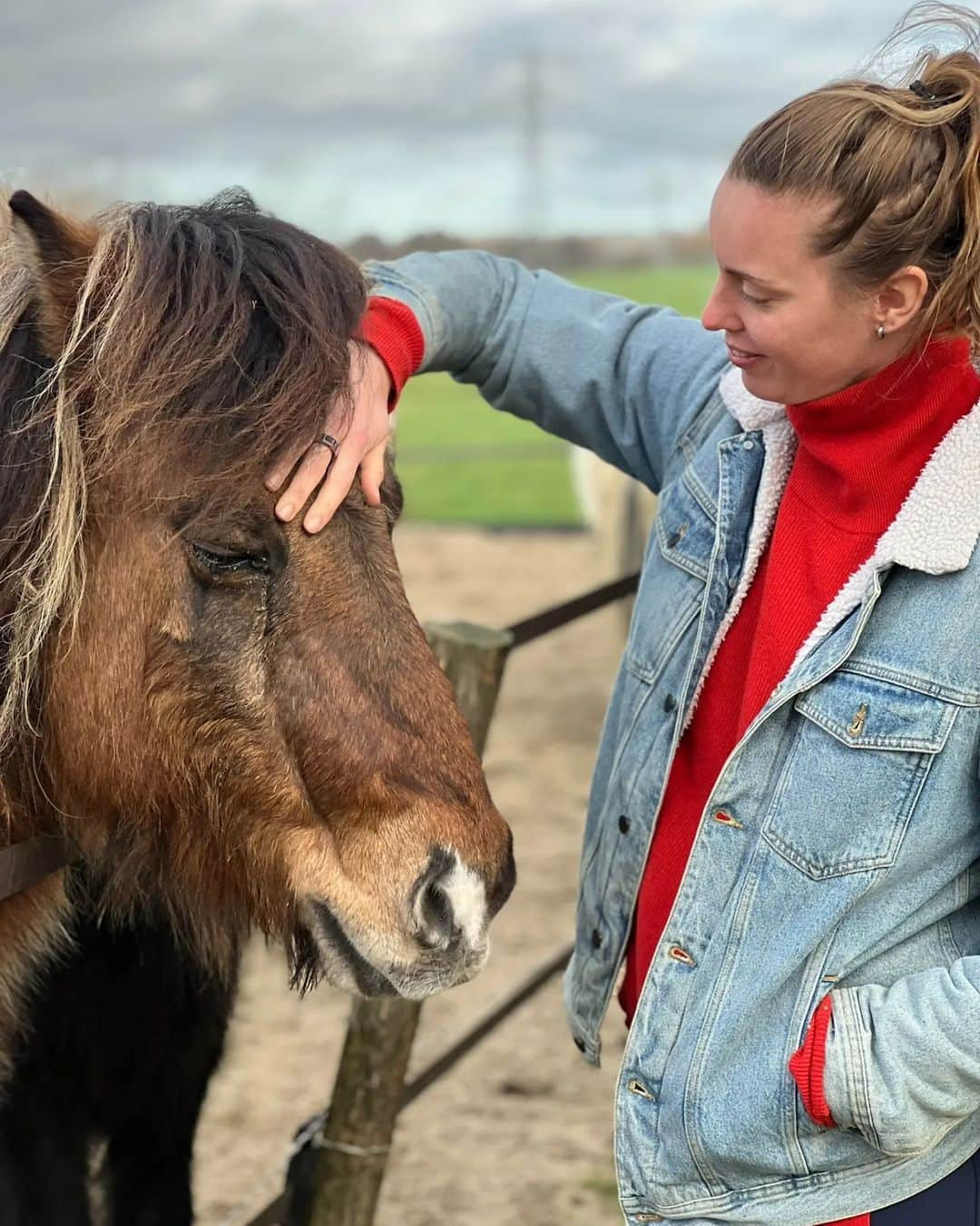 フェムケ・ヘームスケルクさんのインスタグラム写真 - (フェムケ・ヘームスケルクInstagram)「Wat een geluk op dag 8 van het nieuwe jaar 😍😍❤️❤️❤️ 🐖🐔🦆🐎🐈🐑🐽」1月8日 22時08分 - femheemskerk