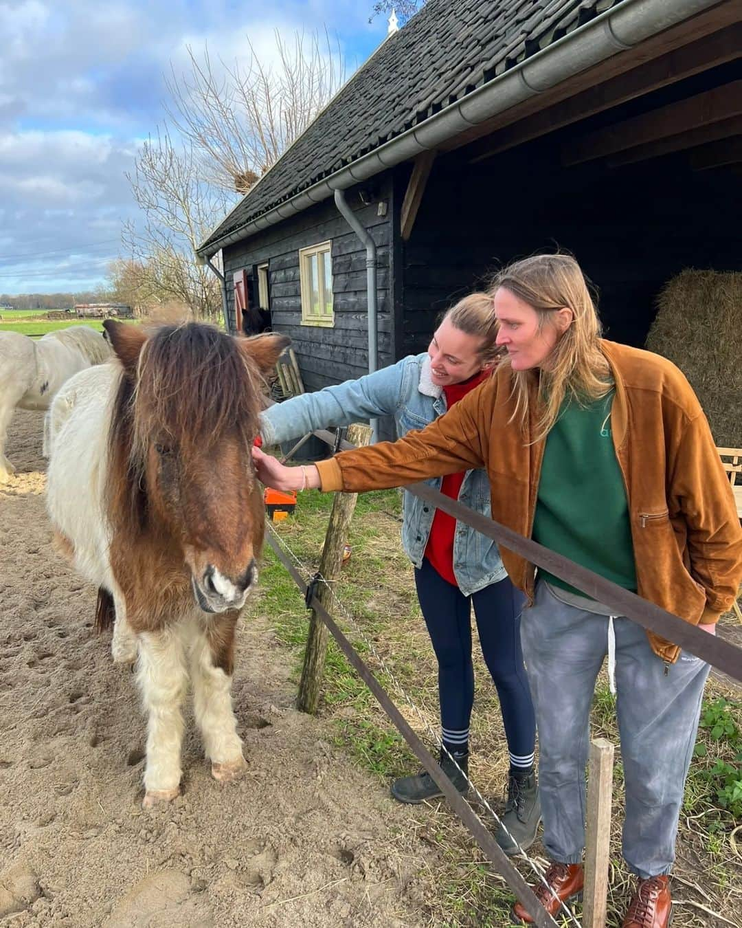 フェムケ・ヘームスケルクさんのインスタグラム写真 - (フェムケ・ヘームスケルクInstagram)「Wat een geluk op dag 8 van het nieuwe jaar 😍😍❤️❤️❤️ 🐖🐔🦆🐎🐈🐑🐽」1月8日 22時08分 - femheemskerk