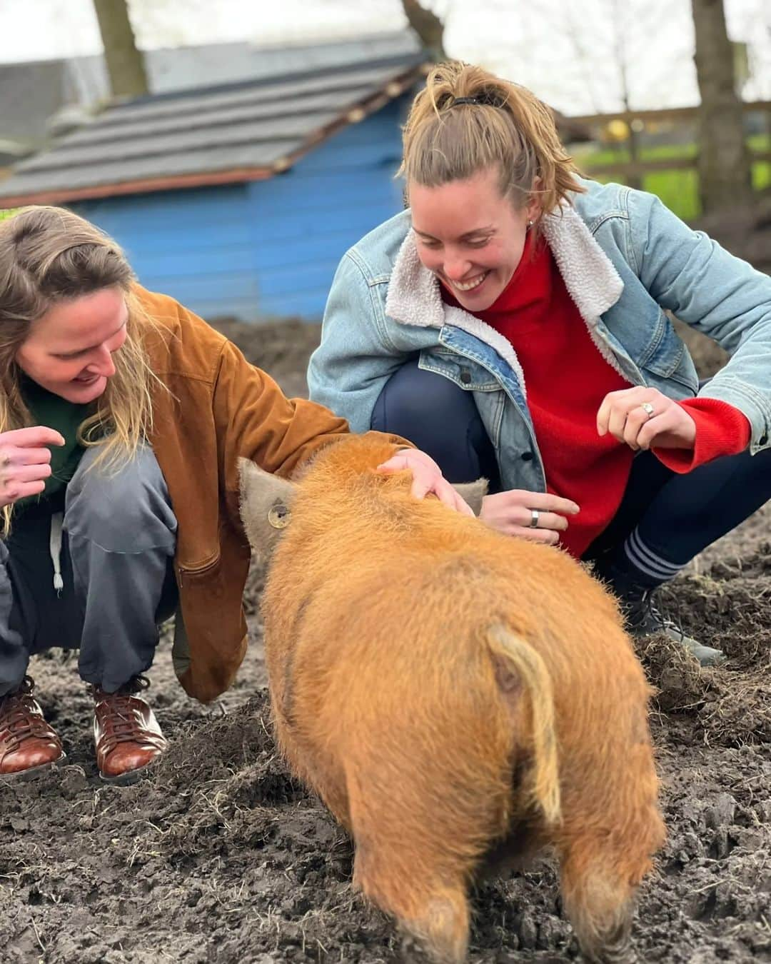 フェムケ・ヘームスケルクさんのインスタグラム写真 - (フェムケ・ヘームスケルクInstagram)「Wat een geluk op dag 8 van het nieuwe jaar 😍😍❤️❤️❤️ 🐖🐔🦆🐎🐈🐑🐽」1月8日 22時08分 - femheemskerk