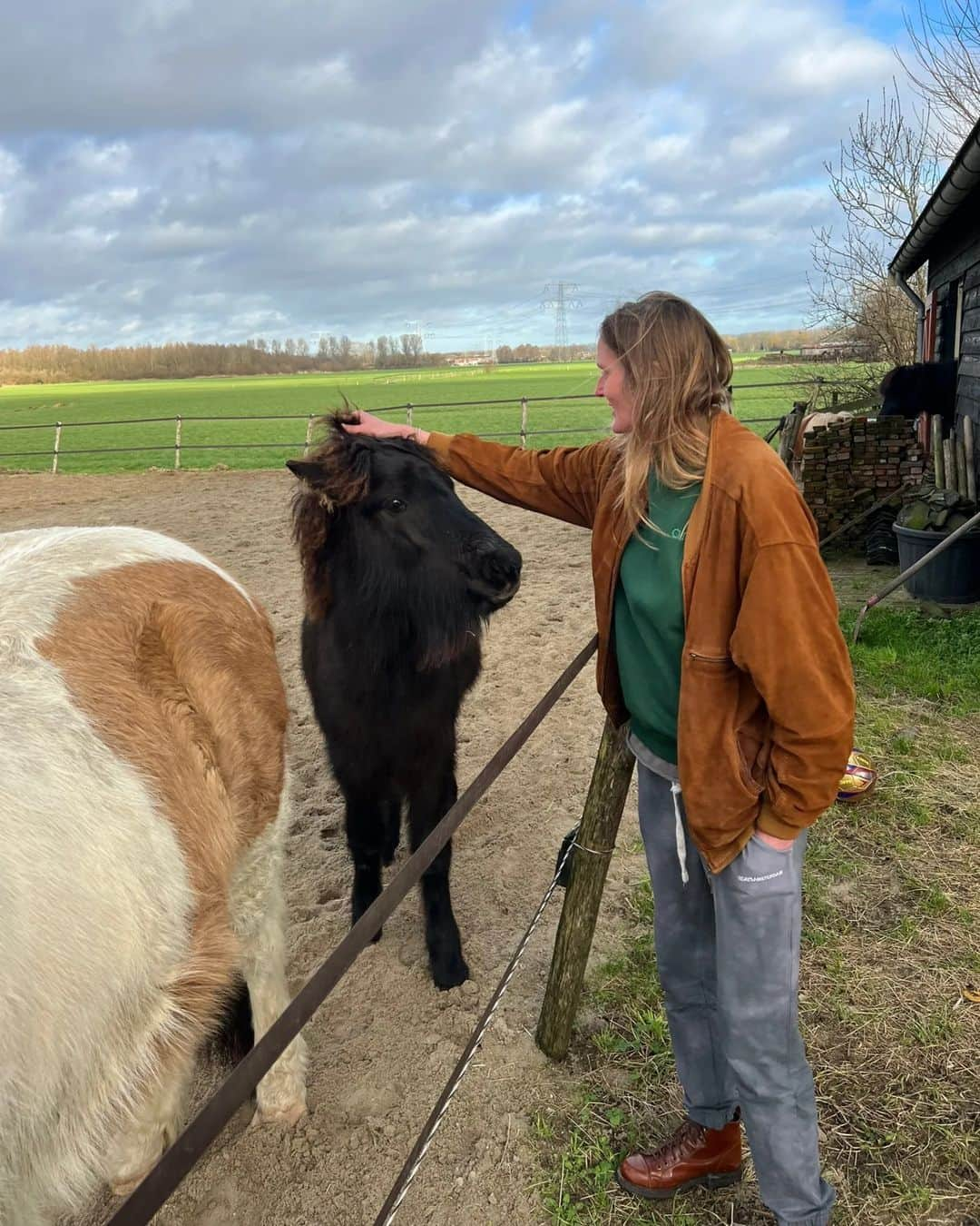 フェムケ・ヘームスケルクさんのインスタグラム写真 - (フェムケ・ヘームスケルクInstagram)「Wat een geluk op dag 8 van het nieuwe jaar 😍😍❤️❤️❤️ 🐖🐔🦆🐎🐈🐑🐽」1月8日 22時08分 - femheemskerk