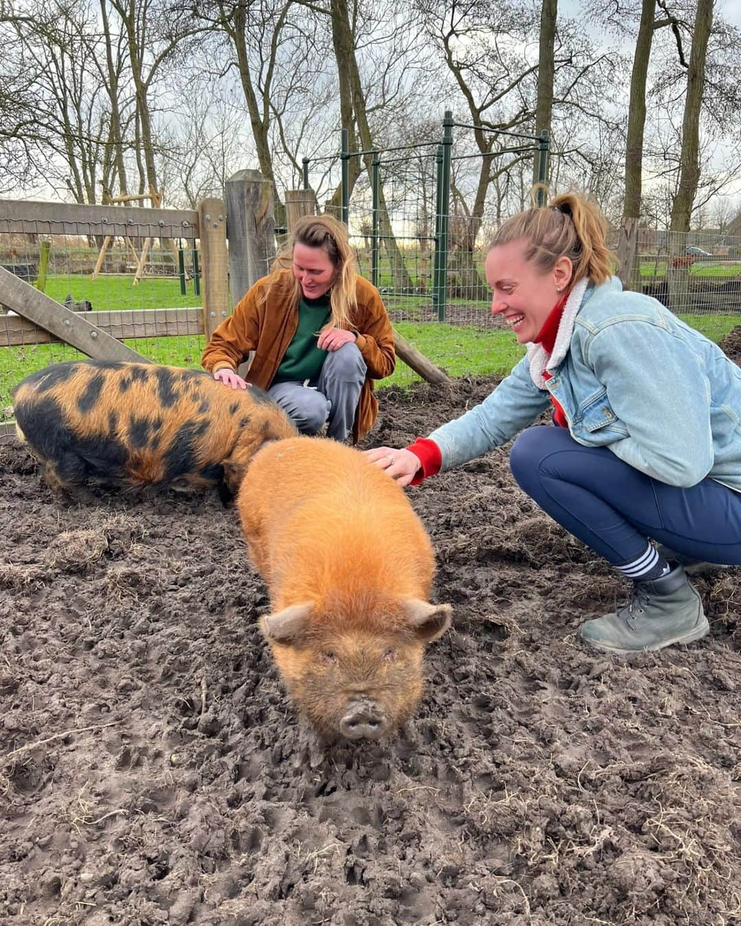 フェムケ・ヘームスケルクのインスタグラム：「Wat een geluk op dag 8 van het nieuwe jaar 😍😍❤️❤️❤️ 🐖🐔🦆🐎🐈🐑🐽」