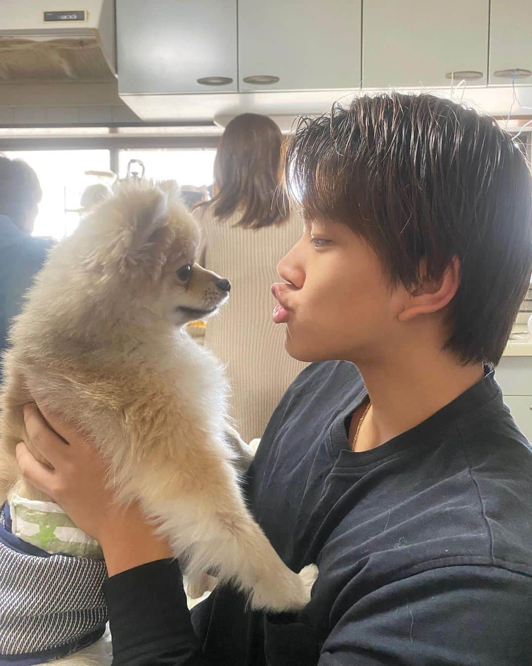 白間太陽のインスタグラム：「ぽーーんたーーっ はじめてのおばあちゃんち  ペット飼ってますか🐕  #dog  #🐶」