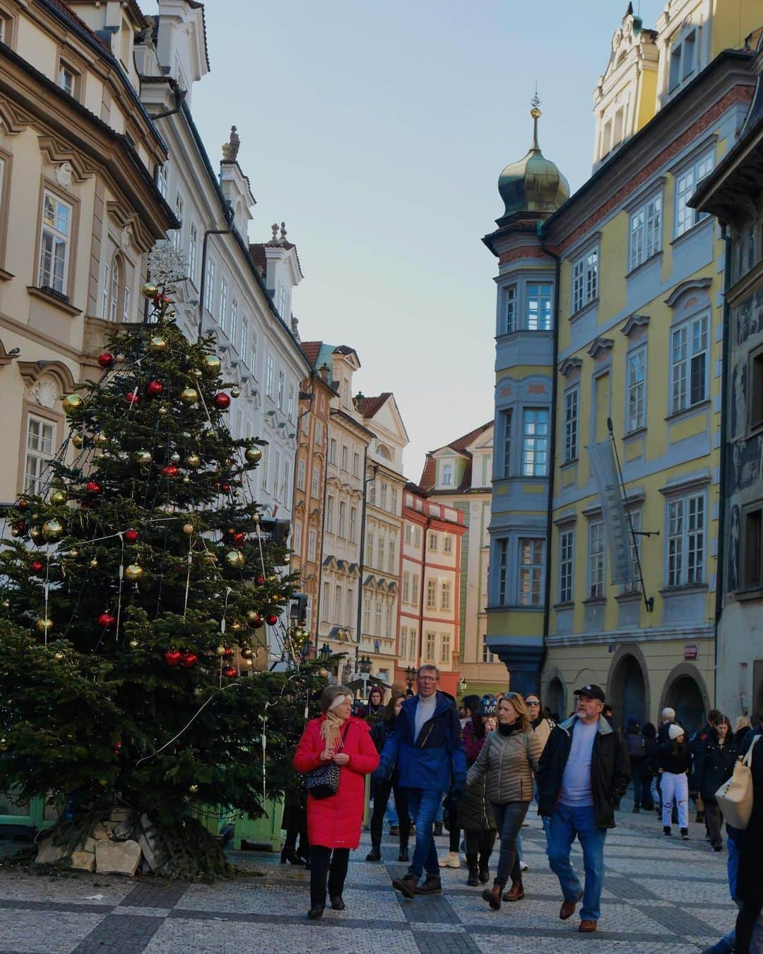 田本詩織のインスタグラム：「これでもかってくらいツリーの写真を撮りまくったヨーロッパ旅🎄」