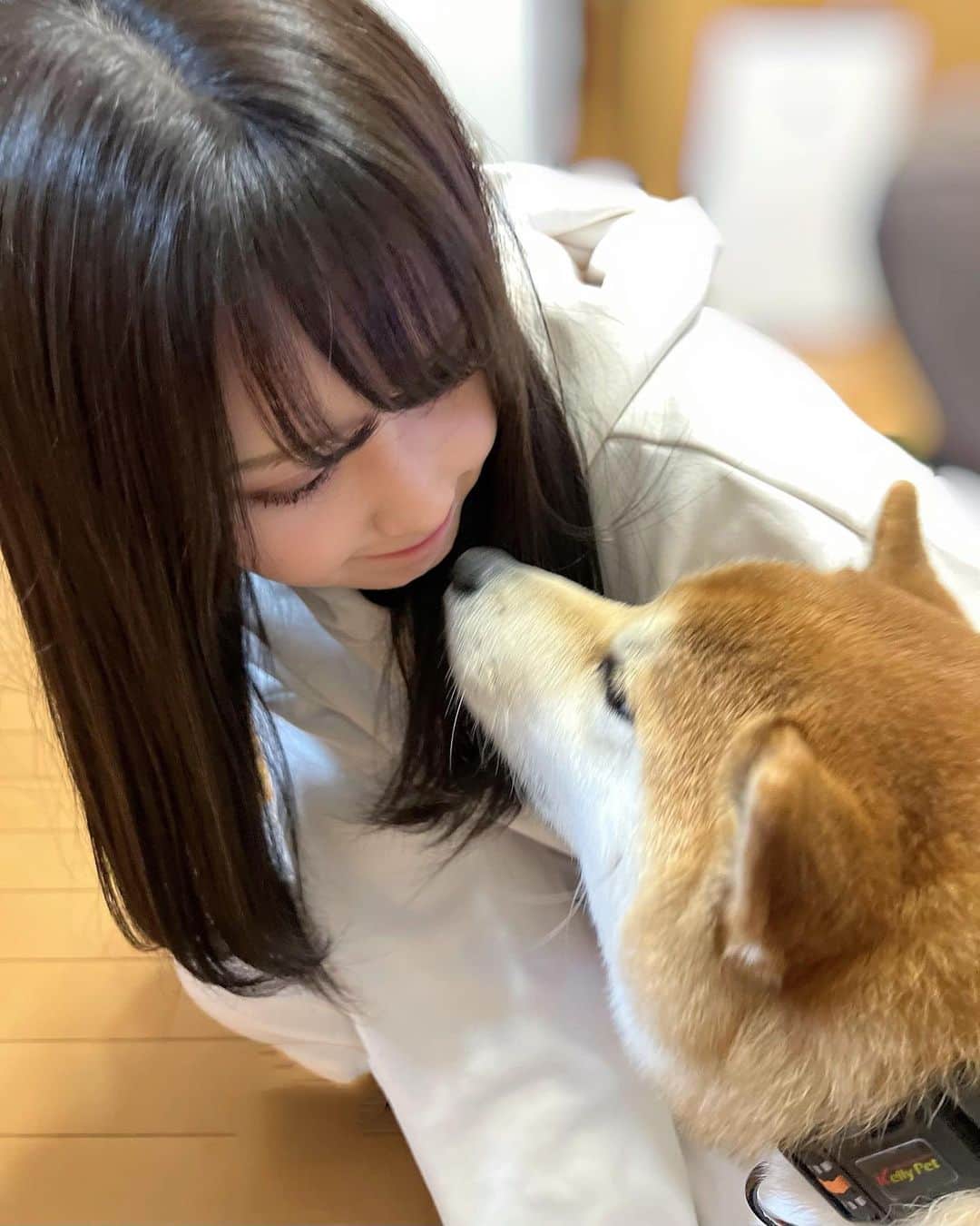 山本望叶のインスタグラム：「親戚のわん🐶」