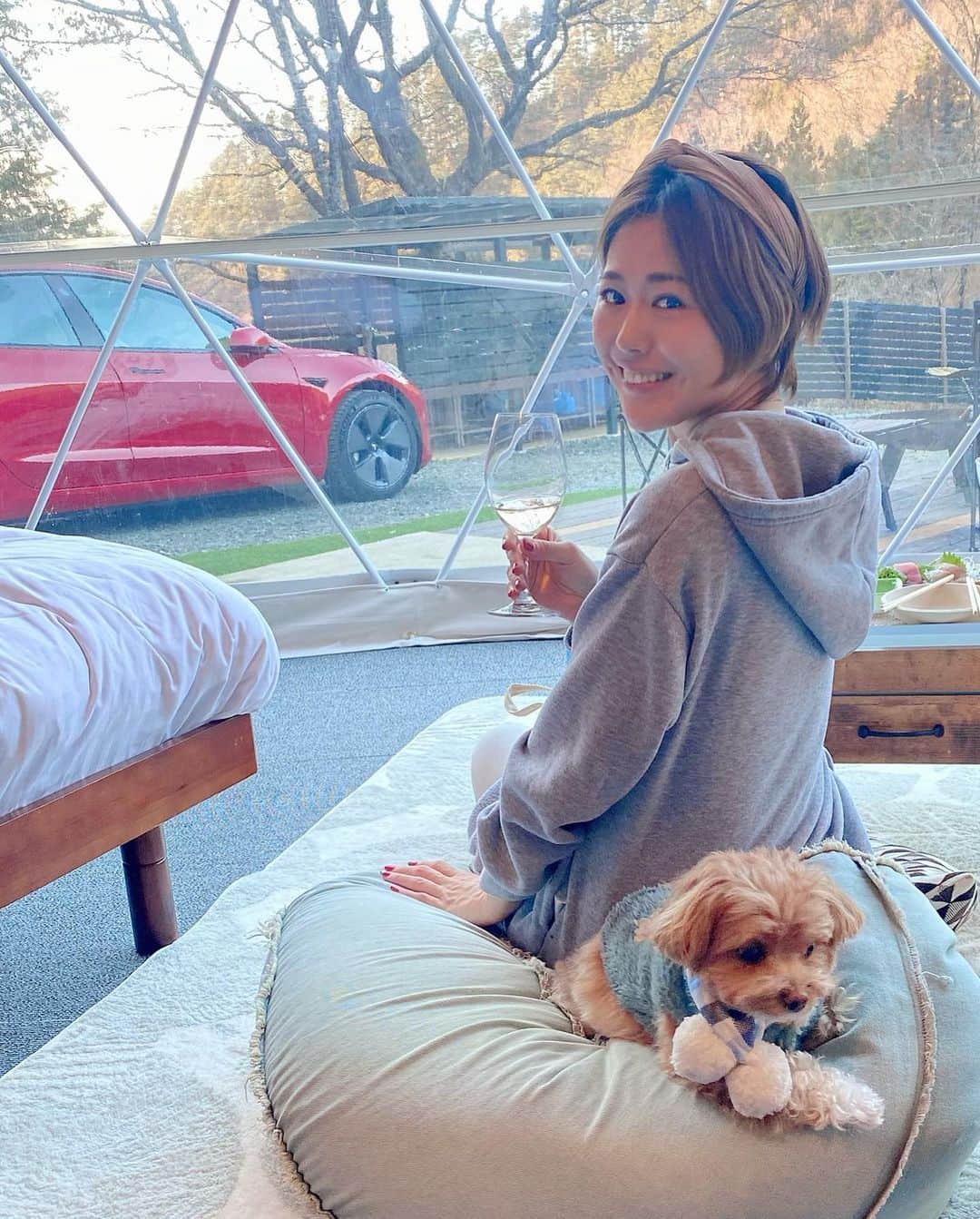 小日向えりのインスタグラム：「新年初旅行🚗  きな粉・小麦愛犬2匹を連れて、山梨へグランピング🐶🐶 山中湖へドライブ🗻  ドームテントのグランピング、ちょっと憧れてたから嬉しい💕 焚き火もできて癒された🥰  専用ドッグランつきできなこむ走り回る！  BBQでは、買って行った美味しいお肉を焼いて、甲州ワインと一緒に食べたよ🍖🥰  テスラをレンタルして自動運転体験。 夫の負担も少し減ったかな？  出発時間を指定しておいたら、その間に霜取りも空調も整えておいてくれる✨  テスラすごいー。サイドブレーキもない。車の概念が変わる！  サービスエリアなどで、鍵を持ってなくても、テスラのスマホアプリで先に鍵開けて、車の中で待っていられるのも寒い冬、助かった。  #Theforest山梨  #Tesla #グランピング #Theforest #山梨キャンプ #都留市  #リゾートグランピング #山梨ワーケーション #女子会 #犬とキャンプ  #犬と泊まれる宿  #女子会 #山梨県都留市 #ドーム型テント　#山中湖　#山中湖の白鳥の湖」