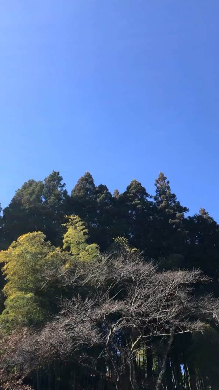 LOOTONEのインスタグラム：「ニューヨーク州立大学病院の病室の壁に書き残されていた詩  成功するために 力を与えてほしいと 神に求めたのに 慎み深く 従順であるようにと 弱さを授かった  偉大なことができるように 健康を求めたのに より良きことができるようにと 病弱を与えられた  幸せになろうとして 富を求めたのに 賢明であるようにと 貧困を授かった  世の人々の賞賛を得ようとして 権力を求めたのに 神を求め続けるようにと 弱さを授かった  人生を楽しめるようにと あらゆるものを求めたのに あらゆることを喜べるようにと 命を授かった  求めたものは一つとして 与えられなかったが 願いはすべて聞き届けられた  神の意に そわぬ者であるにもかかわらず 言葉に出さなかった祈りは すべてかなえられた  私は あらゆる人の中で 最も豊かに 祝福されたのだ  #詩 #幸福 #幸せ #生きる #祝福」