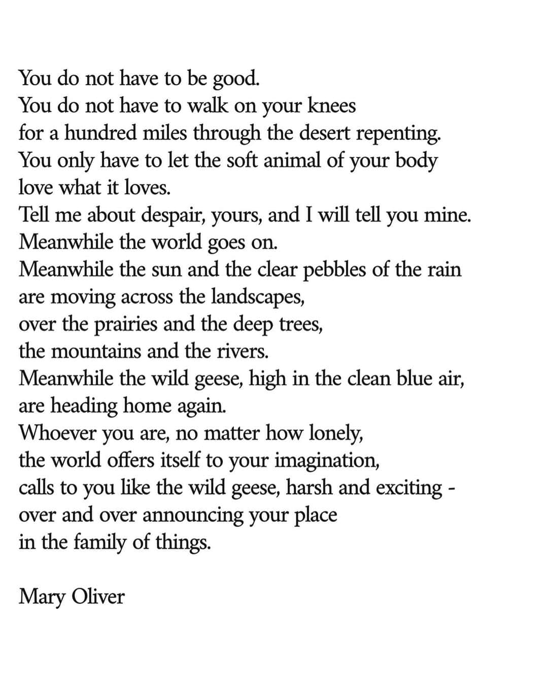 サーシャ・ルッソさんのインスタグラム写真 - (サーシャ・ルッソInstagram)「You do not have to be good. You do not have to walk on your knees for a hundred miles through the desert repenting. You only have to let the soft animal of your body love what it loves. Tell me about despair, yours, and I will tell you mine. Meanwhile the world goes on. Meanwhile the sun and the clear pebbles of the rain are moving across the landscapes, over the prairies and the deep trees, the mountains and the rivers. Meanwhile the wild geese, high in the clean blue air, are heading home again. Whoever you are, no matter how lonely, the world offers itself to your imagination, calls to you like the wild geese, harsh and exciting - over and over announcing your place in the family of things.   Mary Oliver」1月9日 3時51分 - sashaluss