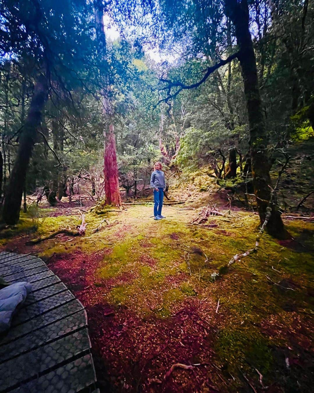 ニコール・キッドマンのインスタグラム：「The beauty of Cradle Mountain」