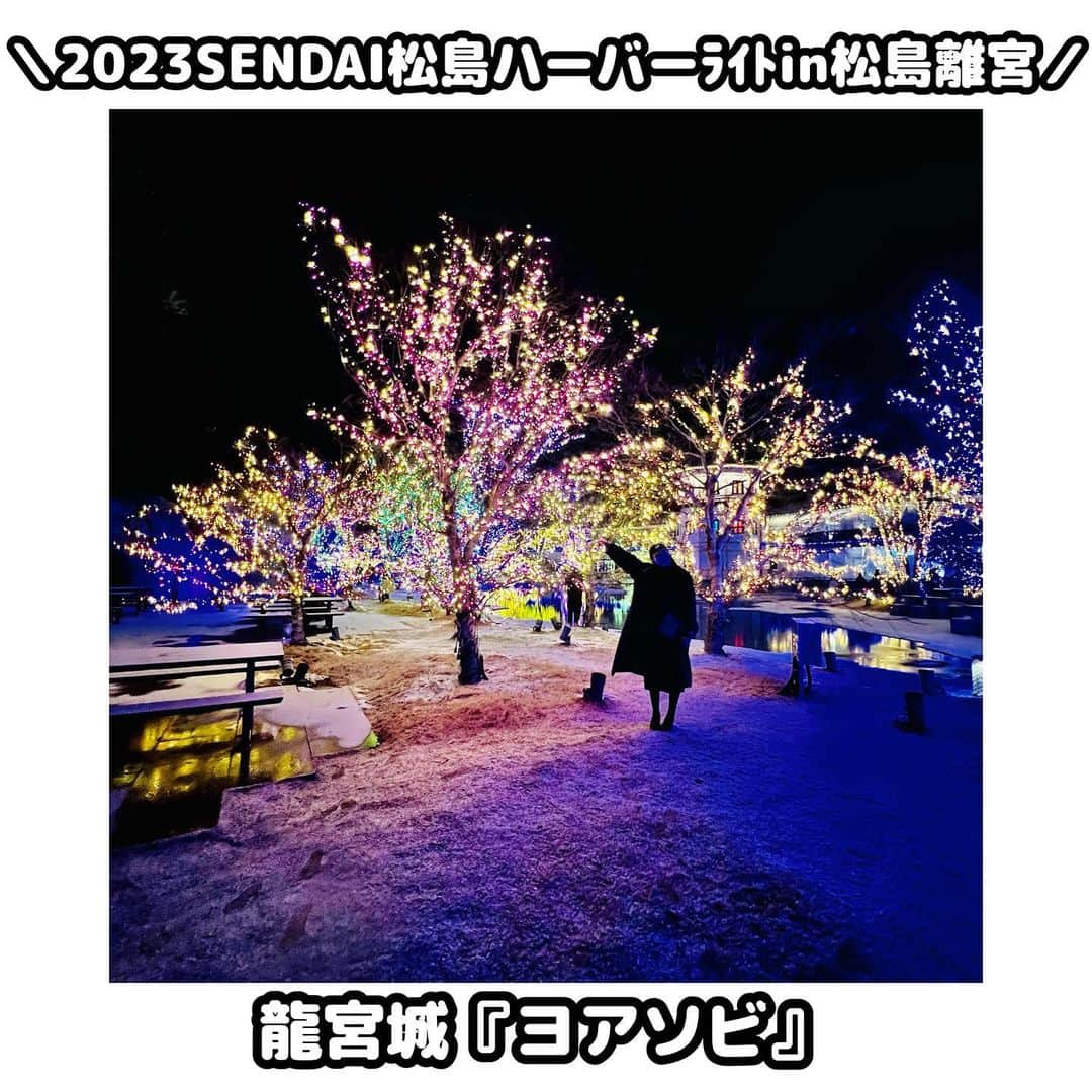 のインスタグラム：「. . . 💡松島離宮 @rikyumatsushima  . 🗺: 〒981-0213 宮城県宮城郡松島町松島字浪打浜18番地 📲: 022-355-0330 🚉: 松島海岸駅　徒歩1分🚶‍♀️ . . 宮城のイルミネーションは 光のページェントと松島離宮🤘 . . #松島離宮　#イルミネーション　#宮城イルミネーション #仙台デート　#デートしたい笑　#インスタ映え #SATOARISA  #佐藤あり紗 #宮城大好き　#宮城盛り上げたい　#ご依頼承ります」