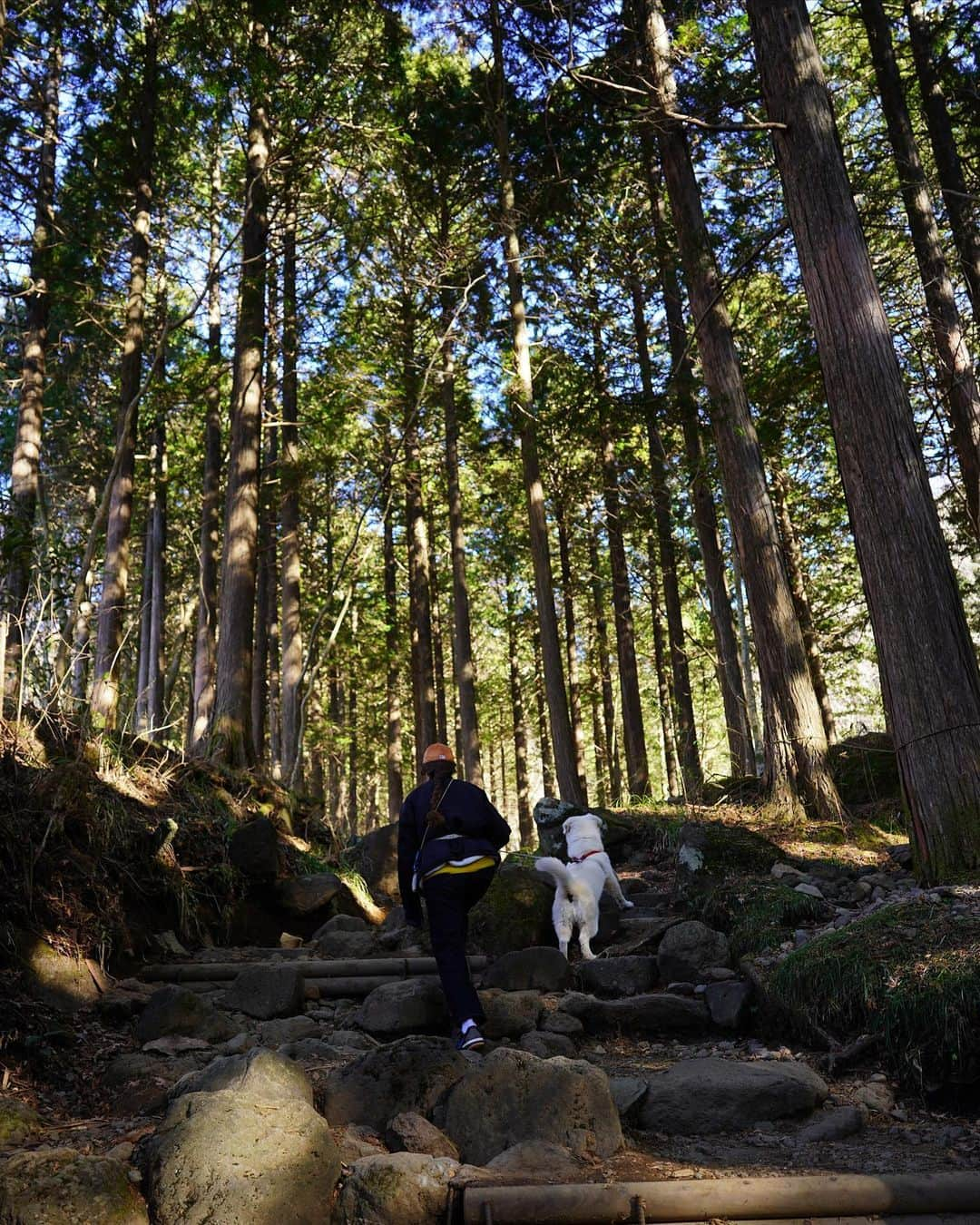 村上舜さんのインスタグラム写真 - (村上舜Instagram)「2023もよろしくお願いします🌲  海に戻ろう」1月9日 17時25分 - shunmurakami_mobb