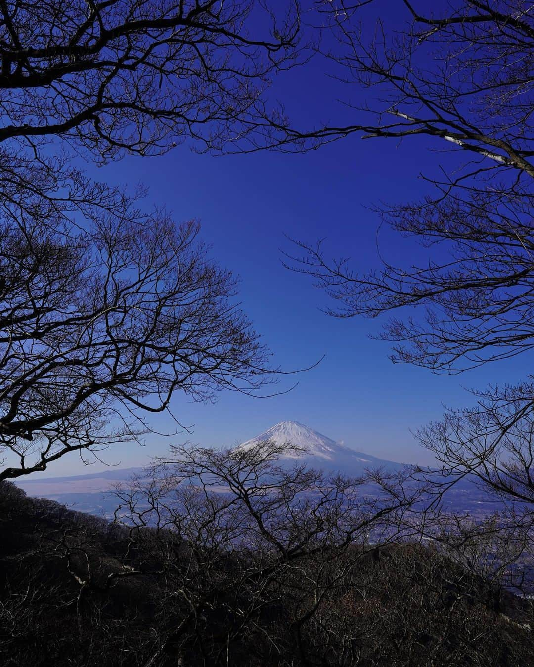 村上舜さんのインスタグラム写真 - (村上舜Instagram)「2023もよろしくお願いします🌲  海に戻ろう」1月9日 17時25分 - shunmurakami_mobb