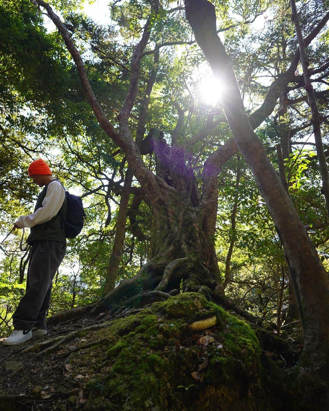 村上舜さんのインスタグラム写真 - (村上舜Instagram)「2023もよろしくお願いします🌲  海に戻ろう」1月9日 17時25分 - shunmurakami_mobb