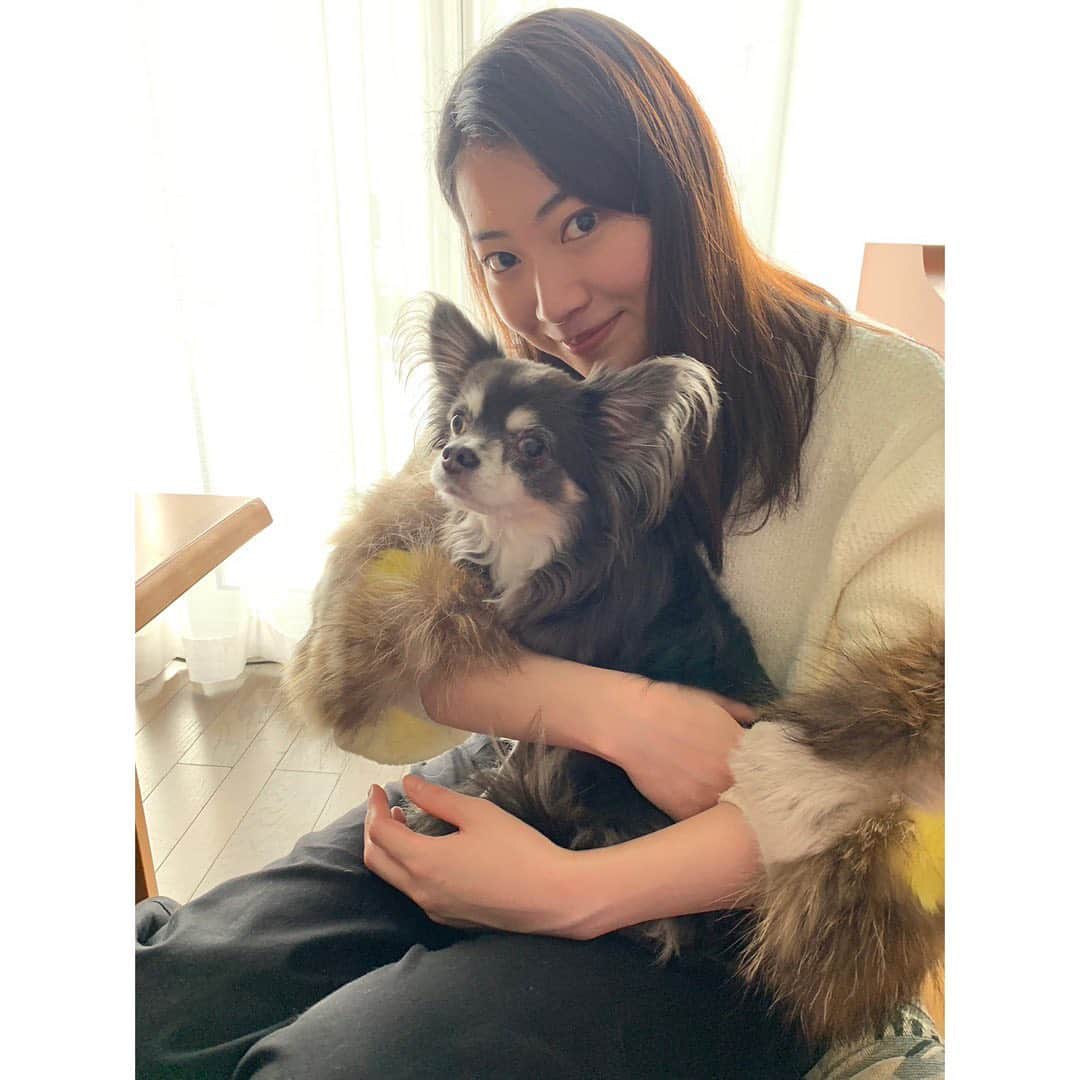 安田聖愛のインスタグラム：「⁡ 年始は実家に帰省していました☺️ ⁡ 友達のお家のわんちゃんと、秋田が寒すぎた写真。 ⁡ 甥っ子姪っ子とたくさん遊んで、実家でのんびーり ⁡ 子どもたちが可愛すぎて東京に帰ってくるの寂しかった😭笑 たくさん笑わせてもらって、母のご飯もたくさん食べて 大満足✨ ⁡ 2023年も頑張るぞ〜！ ⁡ (主に甥っ子姪っ子の写真しか撮ってなかったので、自分の写真全然なかった😂笑) ⁡ #実家帰省　#秋田　#甥っ子姪っ子可愛すぎる」