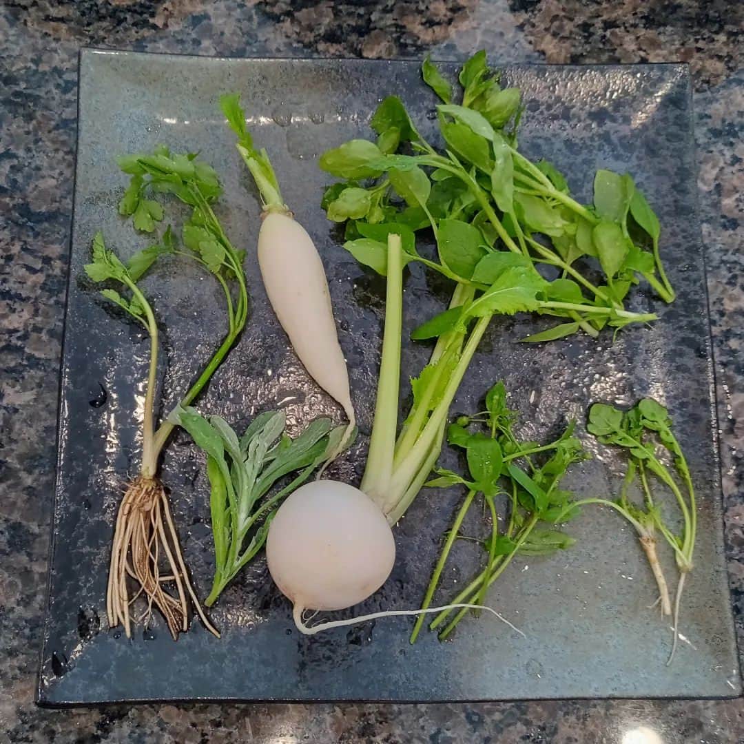 貞平麻衣子のインスタグラム：「七日の朝は七草粥🌿 食べてから、生まれて初めて事務所の稽古場に足を踏み入れました💦人前で演じる難しさよ。。。 #今年もがんばります」