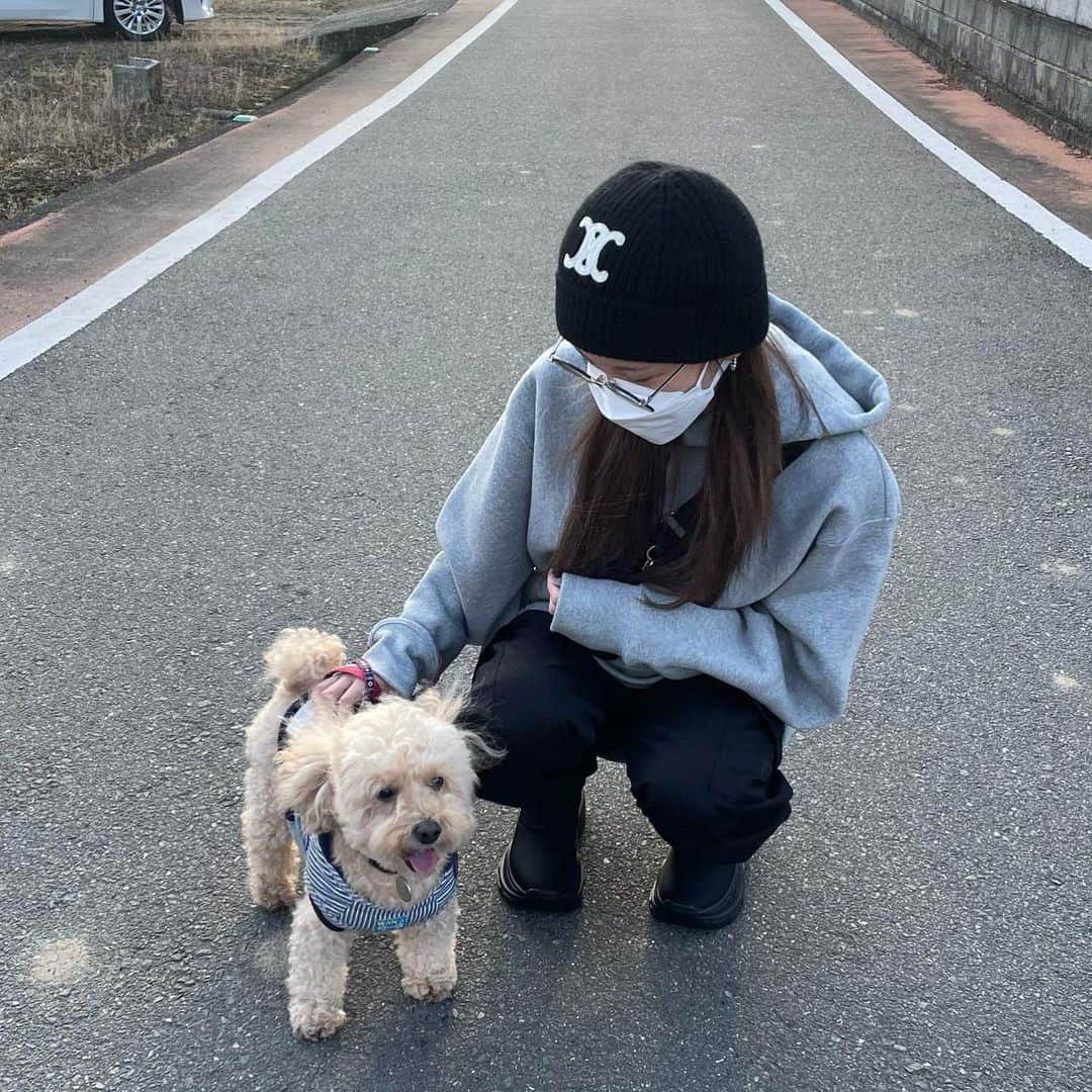 ANNAのインスタグラム：「愛しのミルちゃん🐶 もう10歳になるおじいちゃんです👴🏻 甘えん坊で可愛すぎる👶🏻❤️‍🔥元気に長生きしてほしいな🎂 #トイプードル#トイプードル男の子#ワンコ」