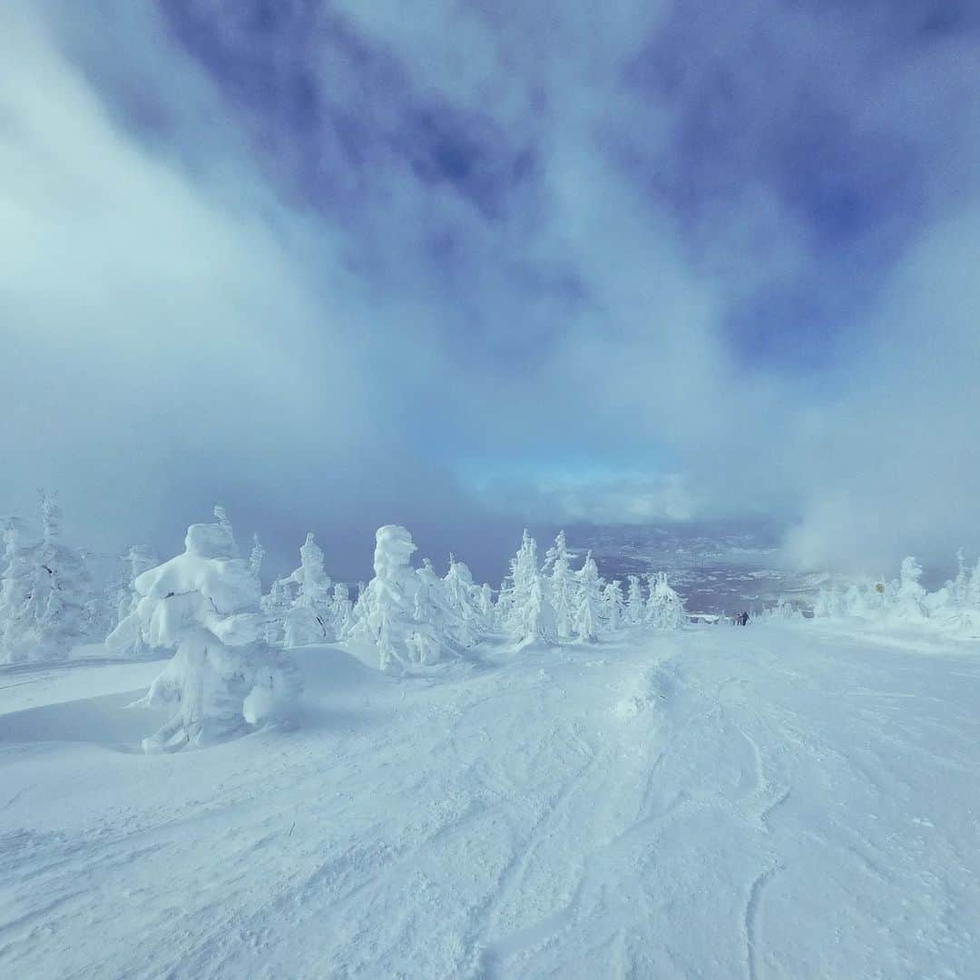 岩山立子さんのインスタグラム写真 - (岩山立子Instagram)「⛷️🏔️❄️  #蔵王  #蔵王スキー場  #樹氷  #スノーモンスター  #insta_zao」1月10日 8時53分 - jazzestme