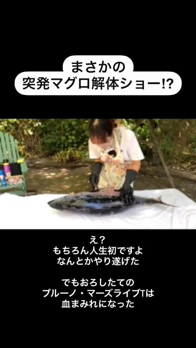 池澤春菜のインスタグラム