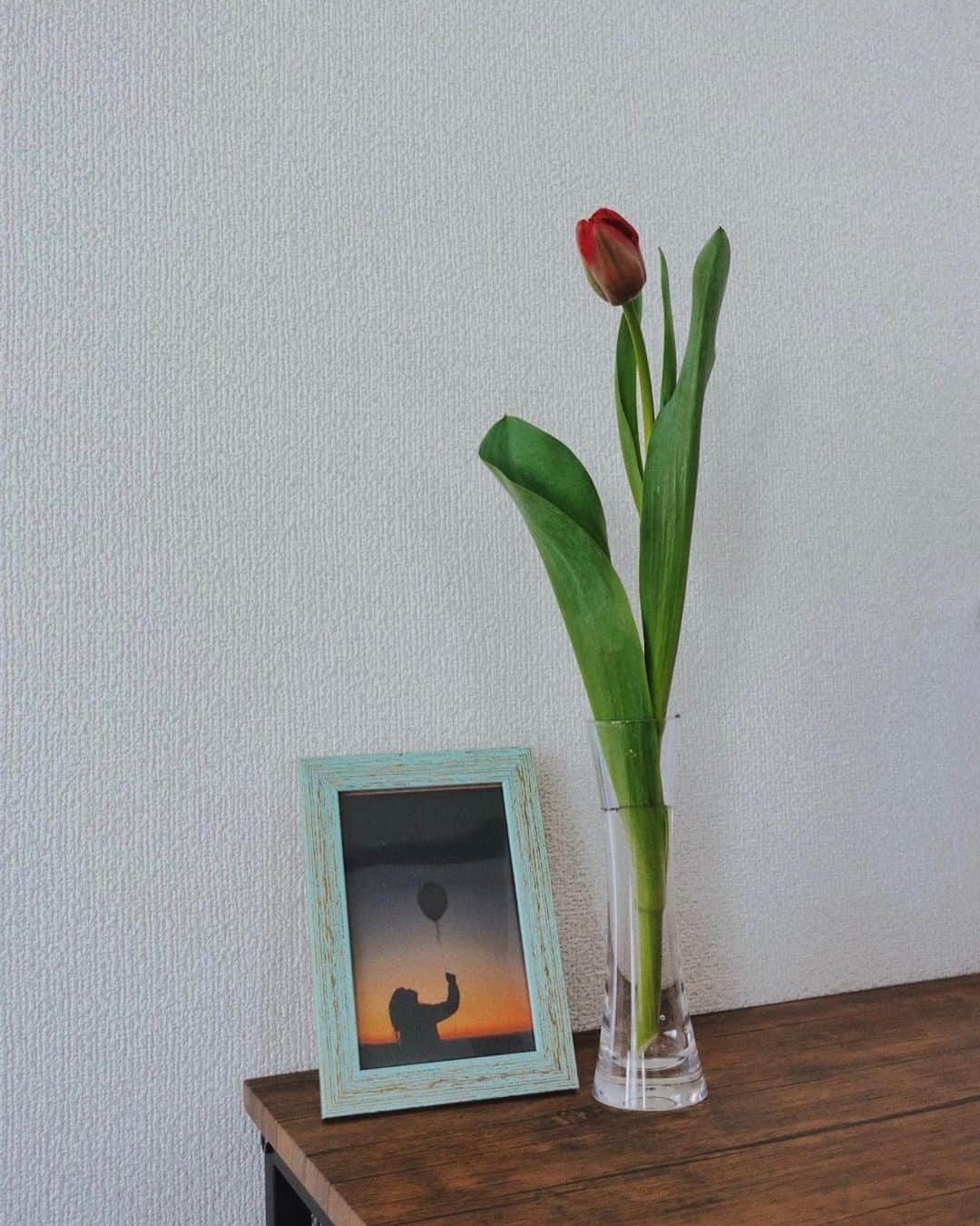 のインスタグラム：「. 最近特に好きな チューリップ🌷  そして2枚目は桜🌸 時間をかけて丁寧に育てていこう  机の隅にお花があるだけで、凄く穏やかな気持ちになる😌🌸」
