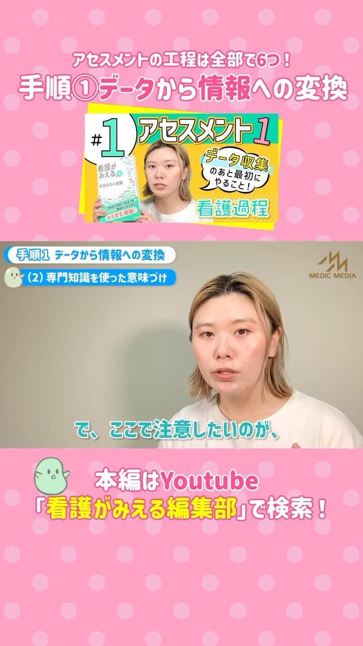 ネコナースのインスタグラム
