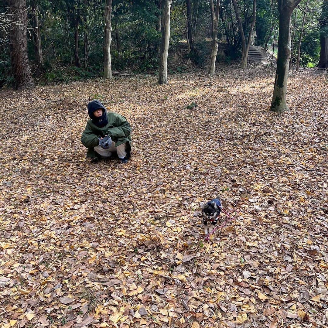 堀夏喜のインスタグラム：「飼い犬より野良猫の方が懐く。」
