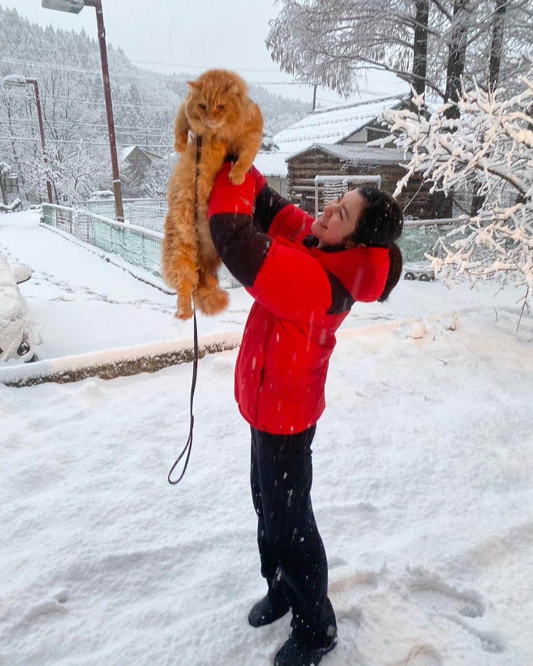 橘モニカのインスタグラム：「Wanted to post this sooner but I keep forgetting to 🫠 4th of January, our first snow of the year! Even though we didn’t have time to play ❄️  もっと早く載せる予定だったけど毎回忘れちゃう👍🏼 1月4日、今年の私たちの初雪！遊ぶ時間はなかったけど嬉しかった〜 . . . . . #snow#cute#Pumpkin#cat#winter#style#fashion#model#thenorthface#雪#可愛い#パンプキン#猫#冬#スタイル#ファッション#モデル#ノースフェイス#눈#귀여워#귀여운#고양이#스타일#패션#모델#노스페이스#일상」