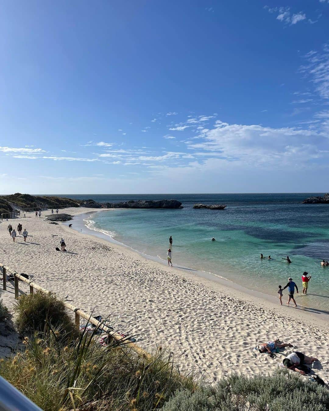 のインスタグラム：「Rottnest 🏝️💕」