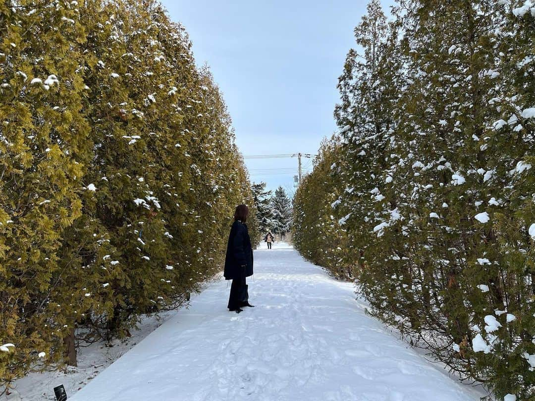 木庭弥生のインスタグラム：「冬の北海道満喫しました⛄️❄️  家族と幸せな時間☺️  2023.01.10  #冬休み#帰省」